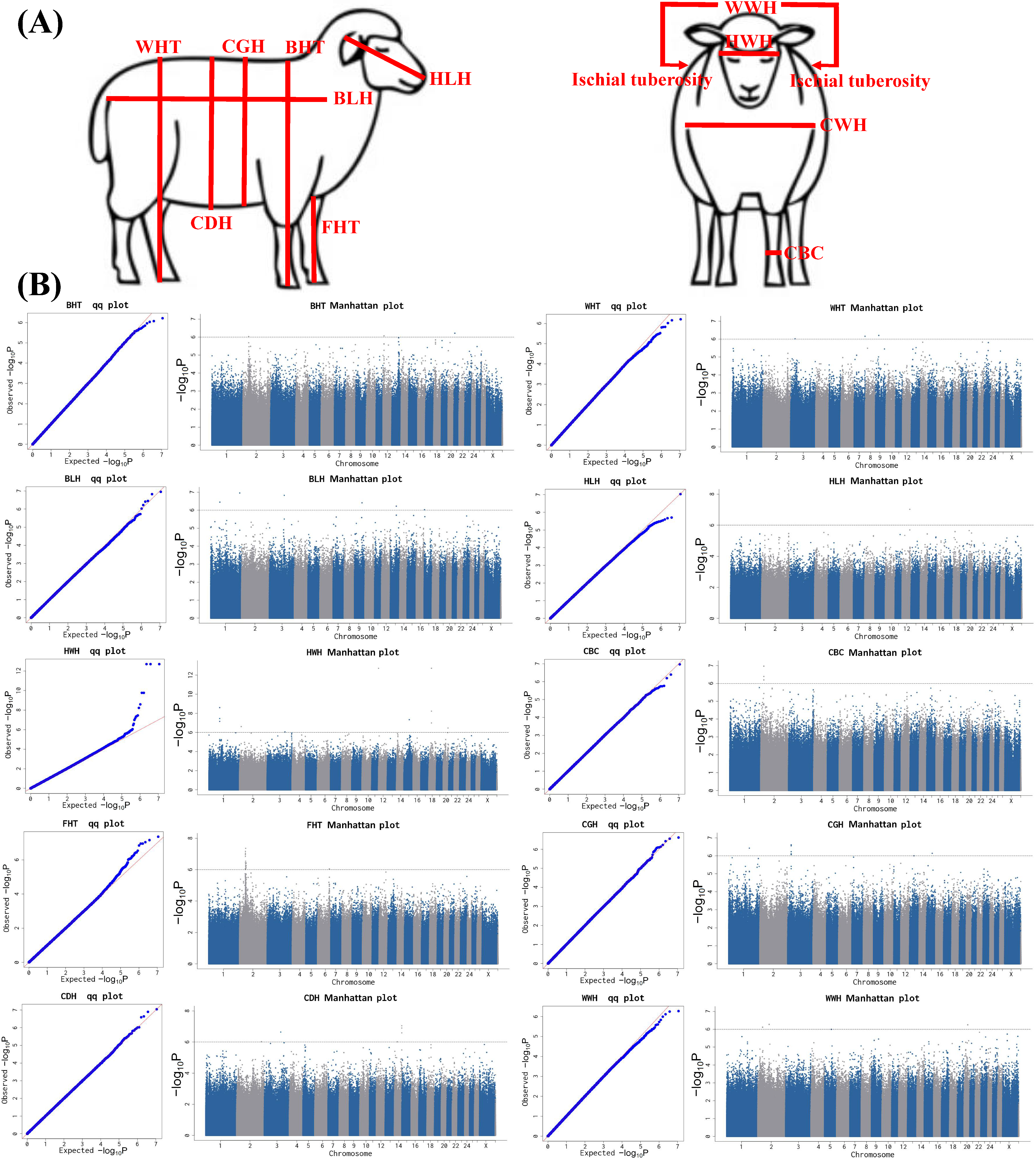 Biology 14 01446 g004 Biology 14 01446 g004