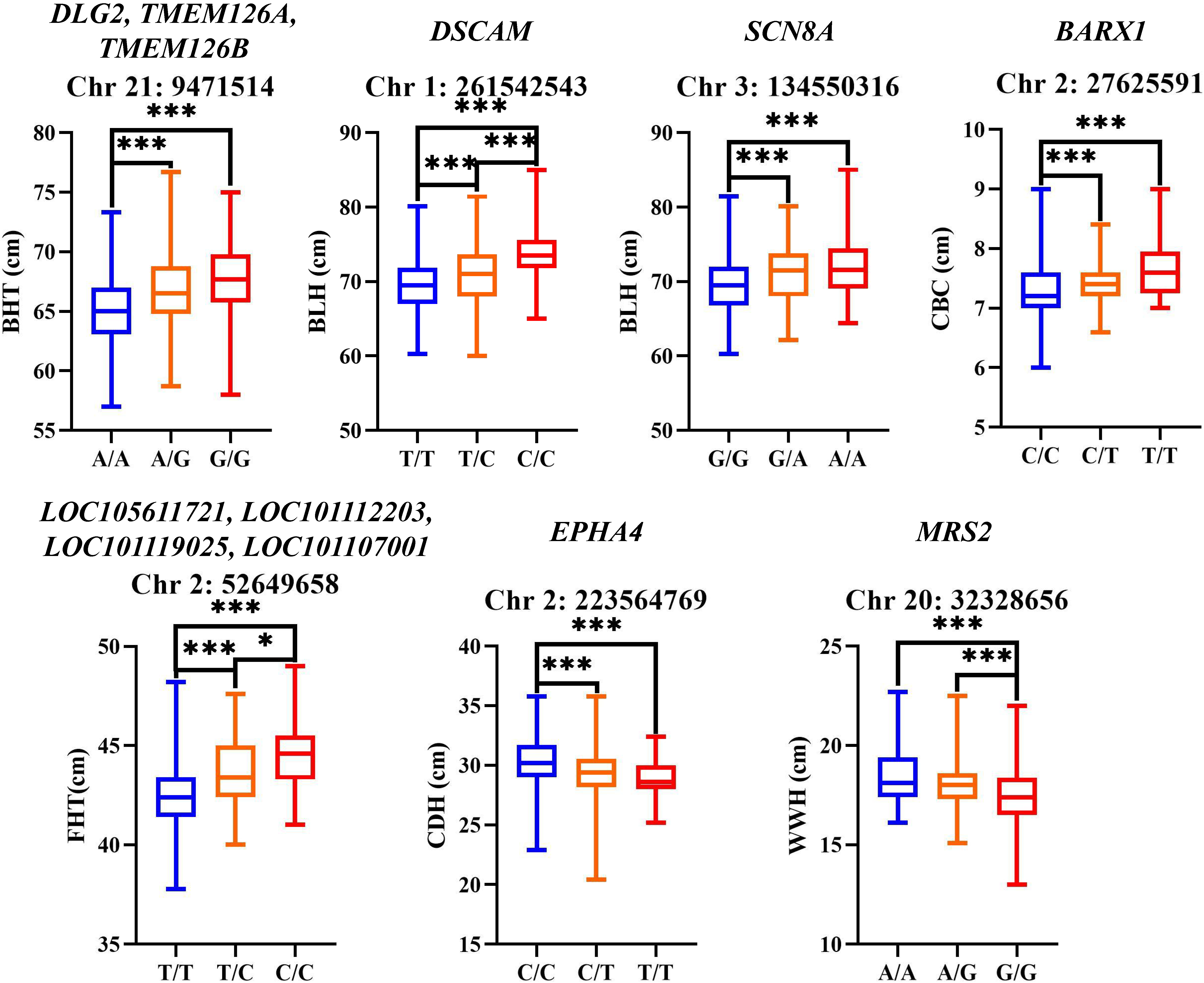 Biology 14 01446 g006 Biology 14 01446 g006