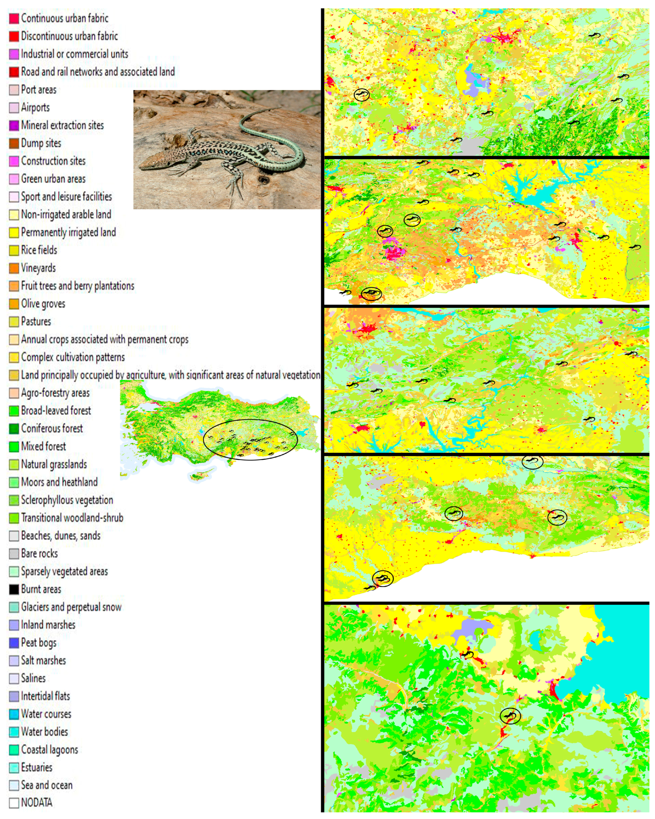 Biology 14 01457 g001 Biology 14 01457 g001