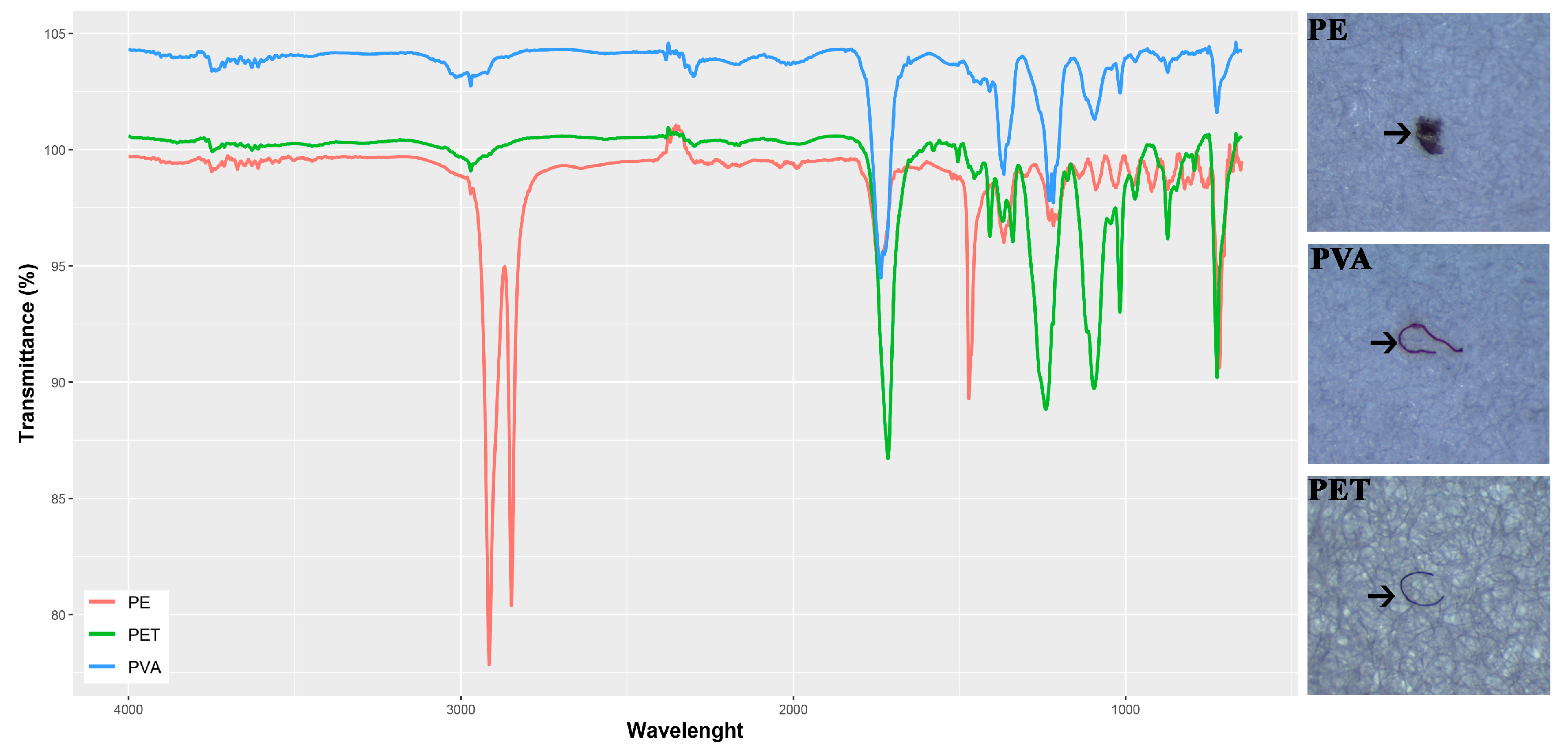 Biology 14 01457 g002 Biology 14 01457 g002