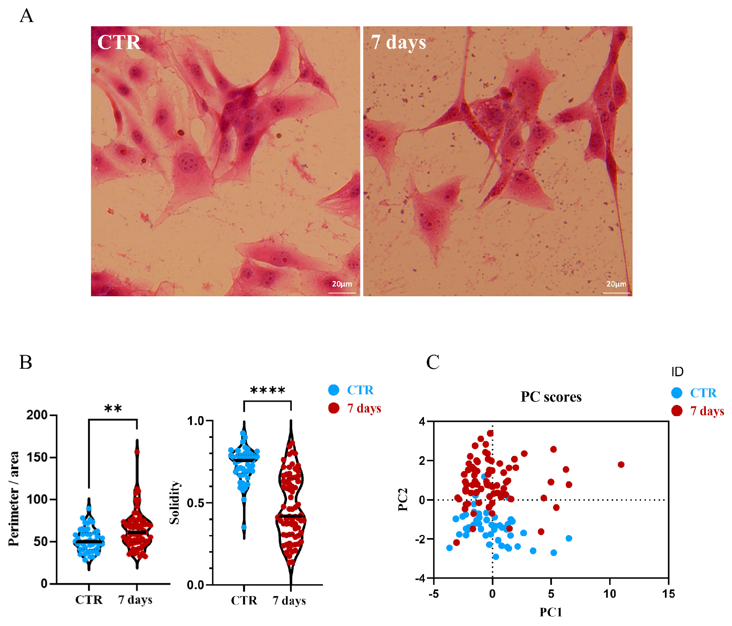 Biology 14 01461 g004