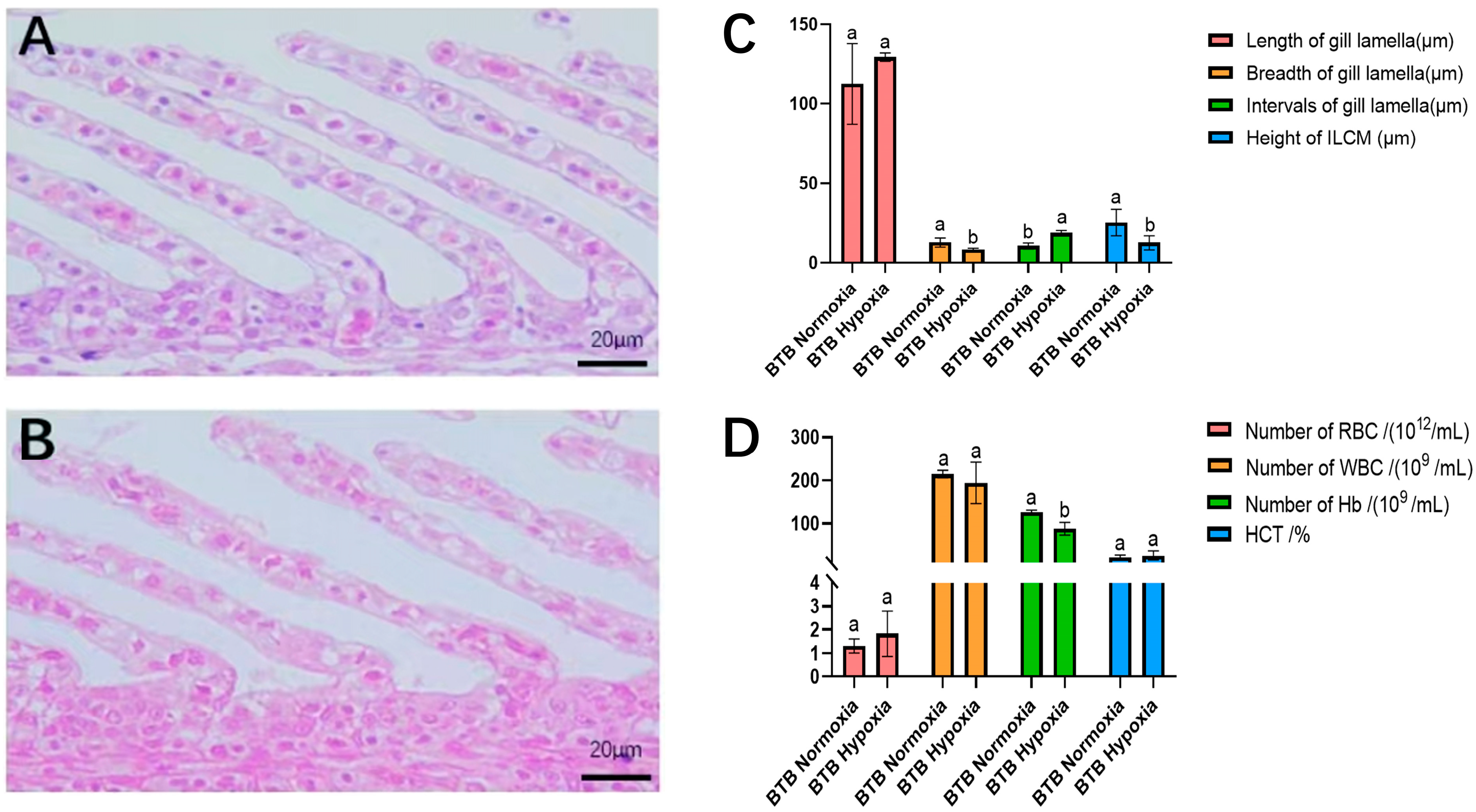 Biology 14 01462 g001 Biology 14 01462 g001