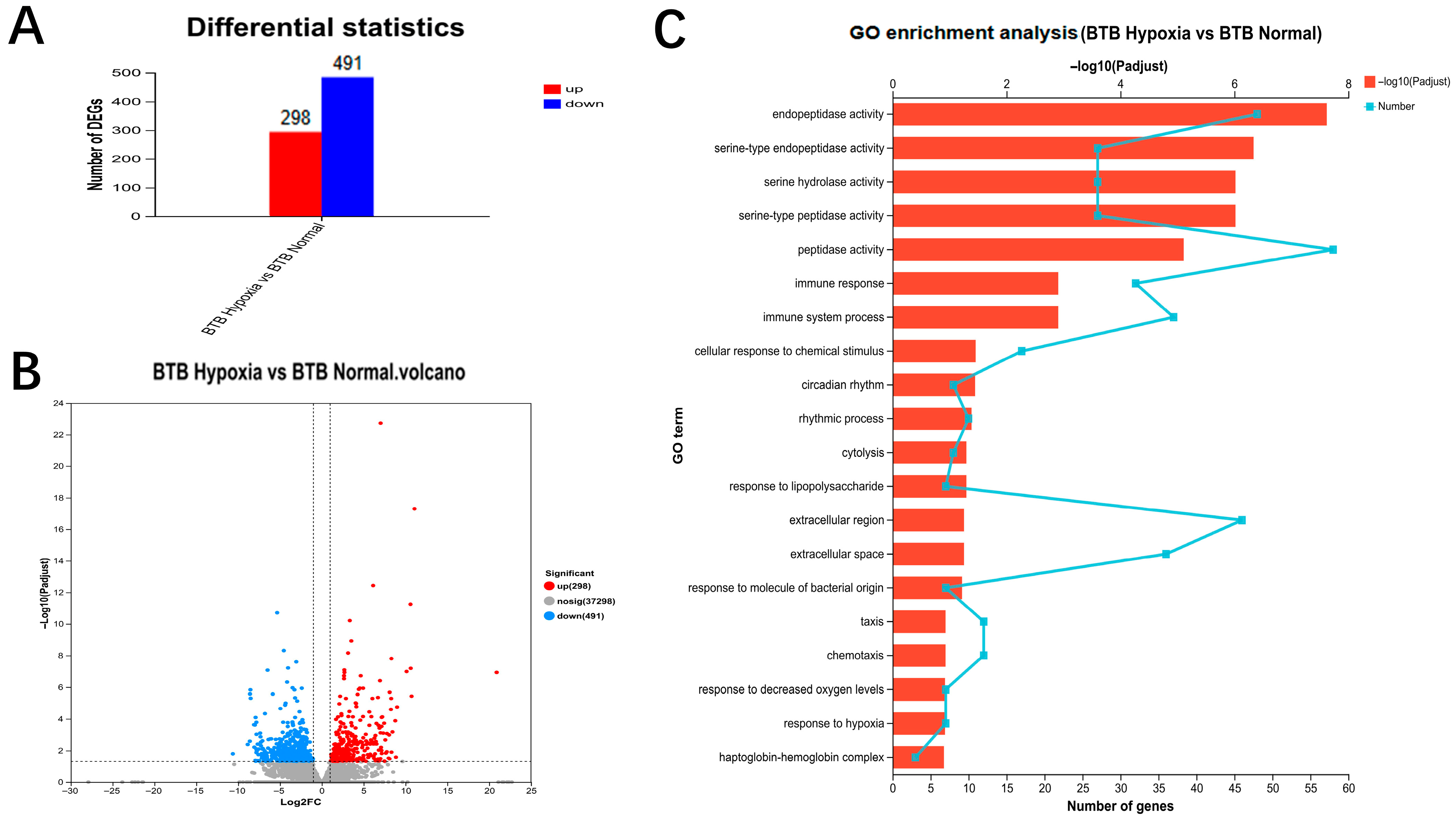 Biology 14 01462 g002 Biology 14 01462 g002