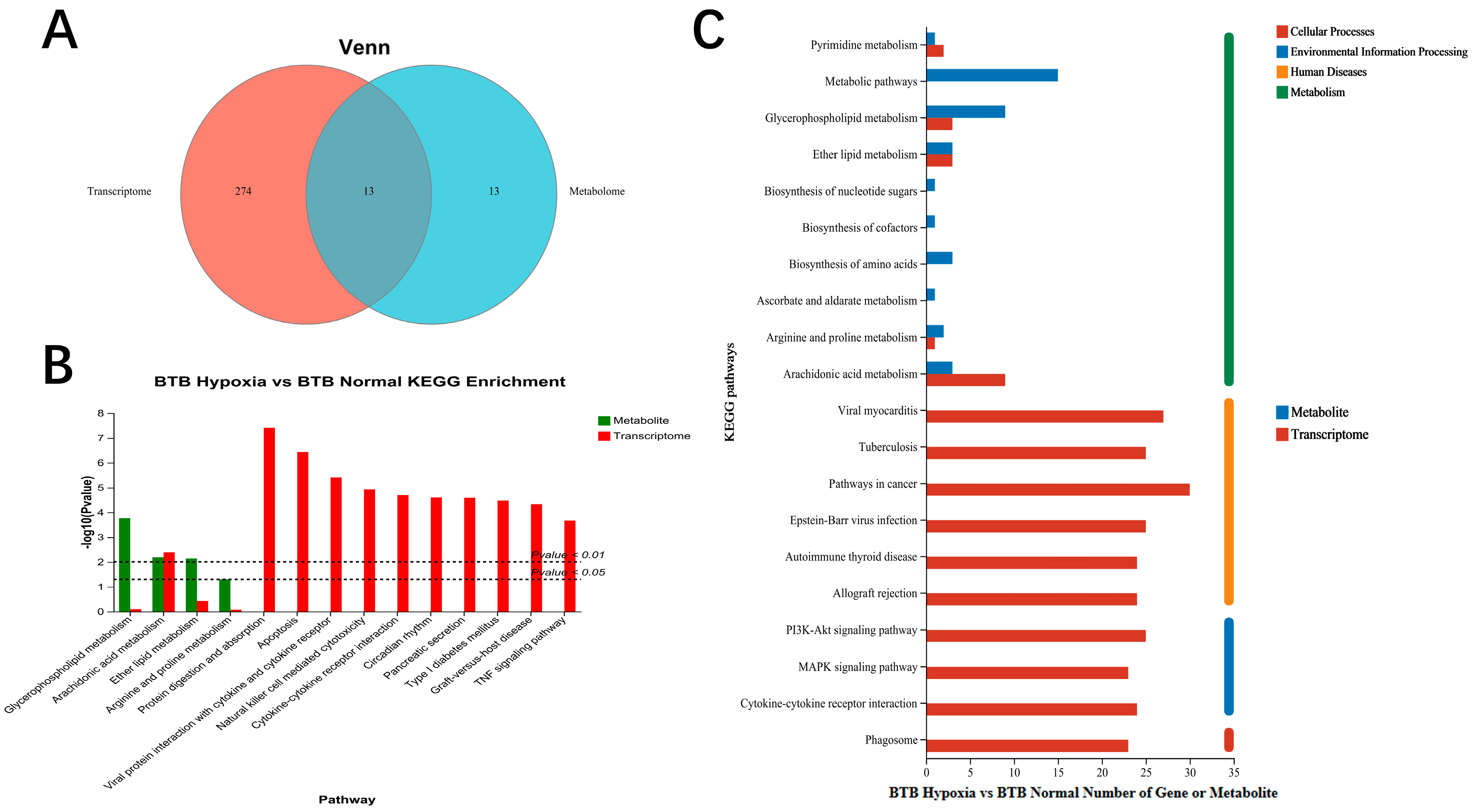 Biology 14 01462 g004 Biology 14 01462 g004