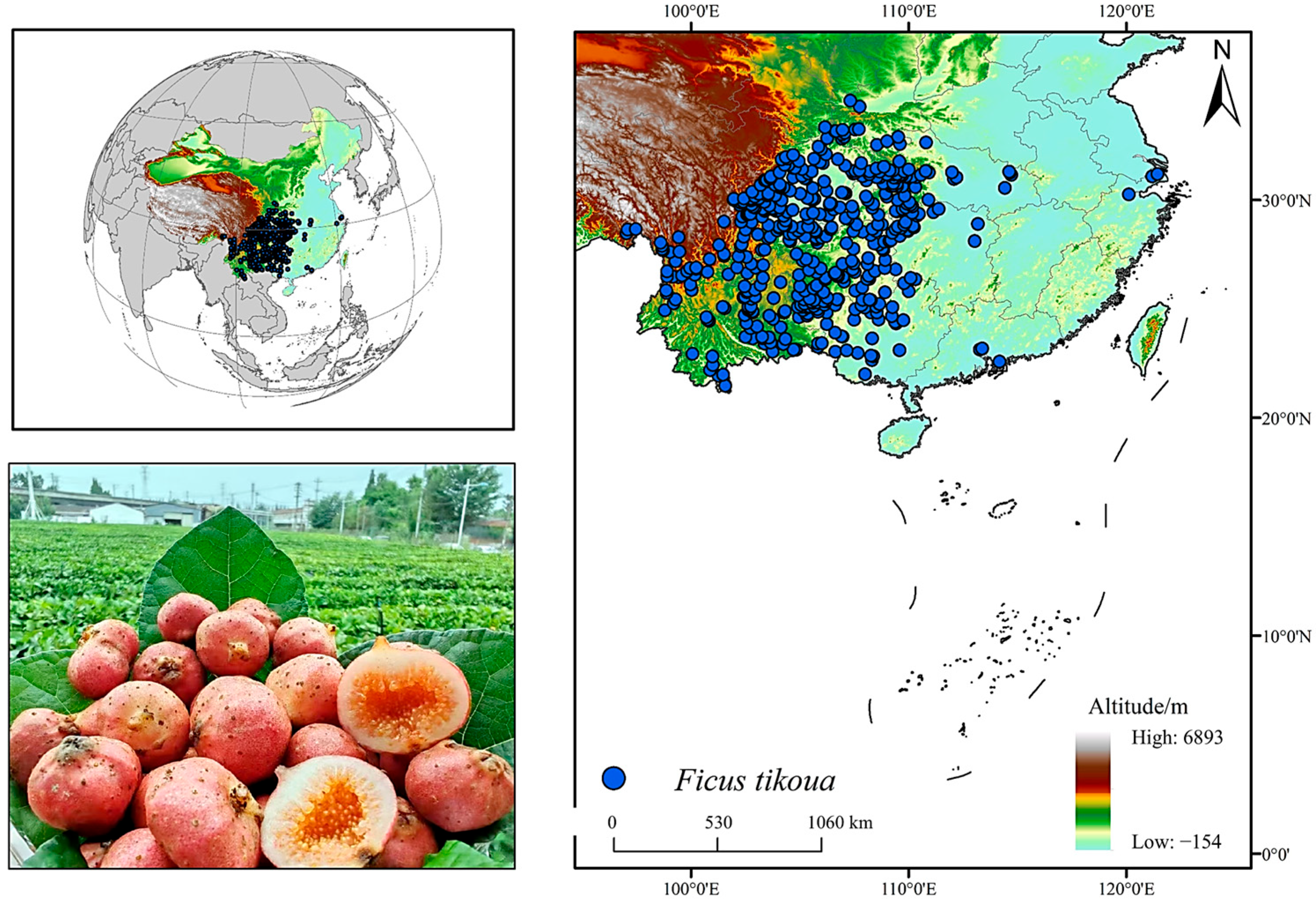 Biology 14 01473 g001