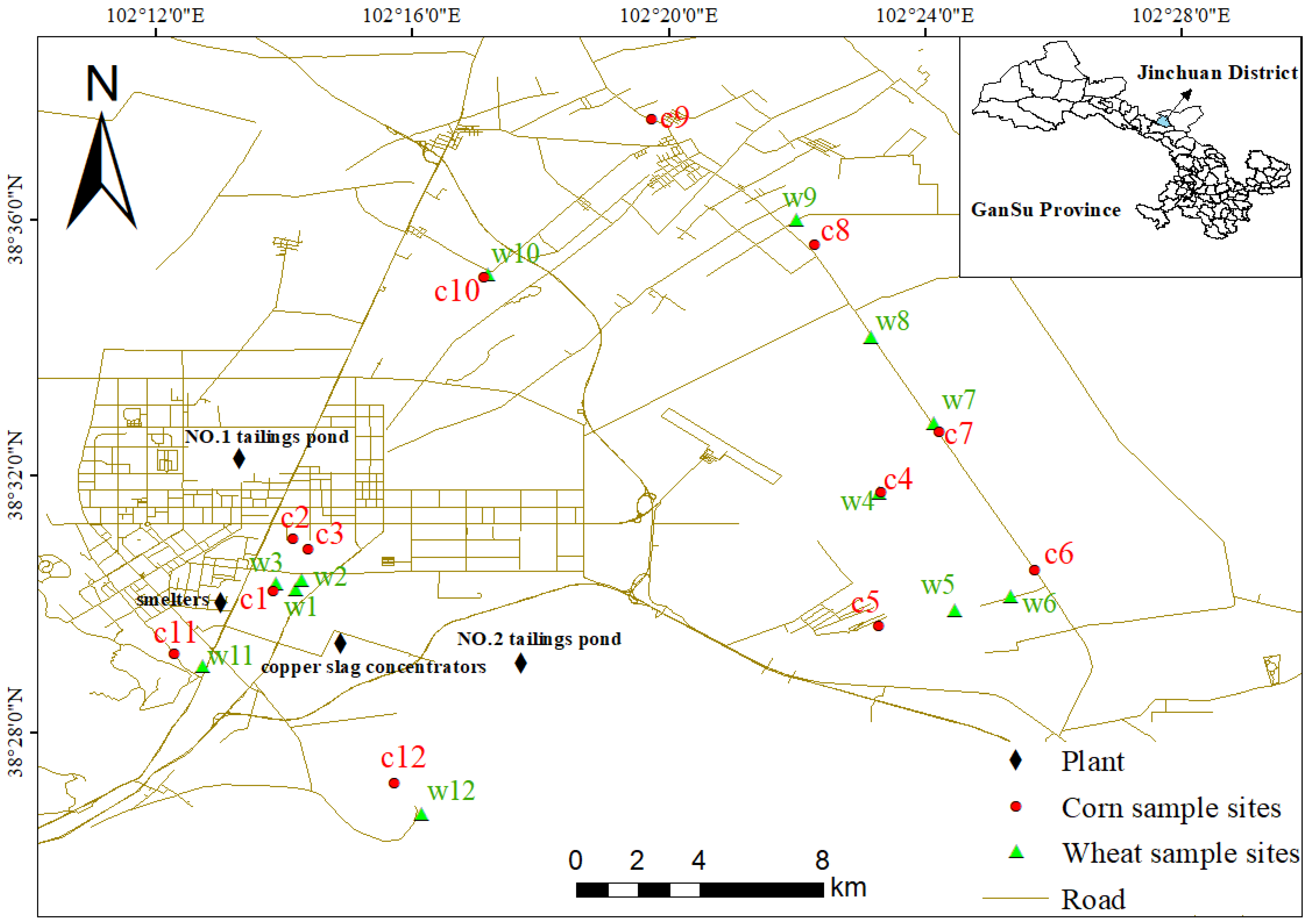 Biology 14 01475 g001