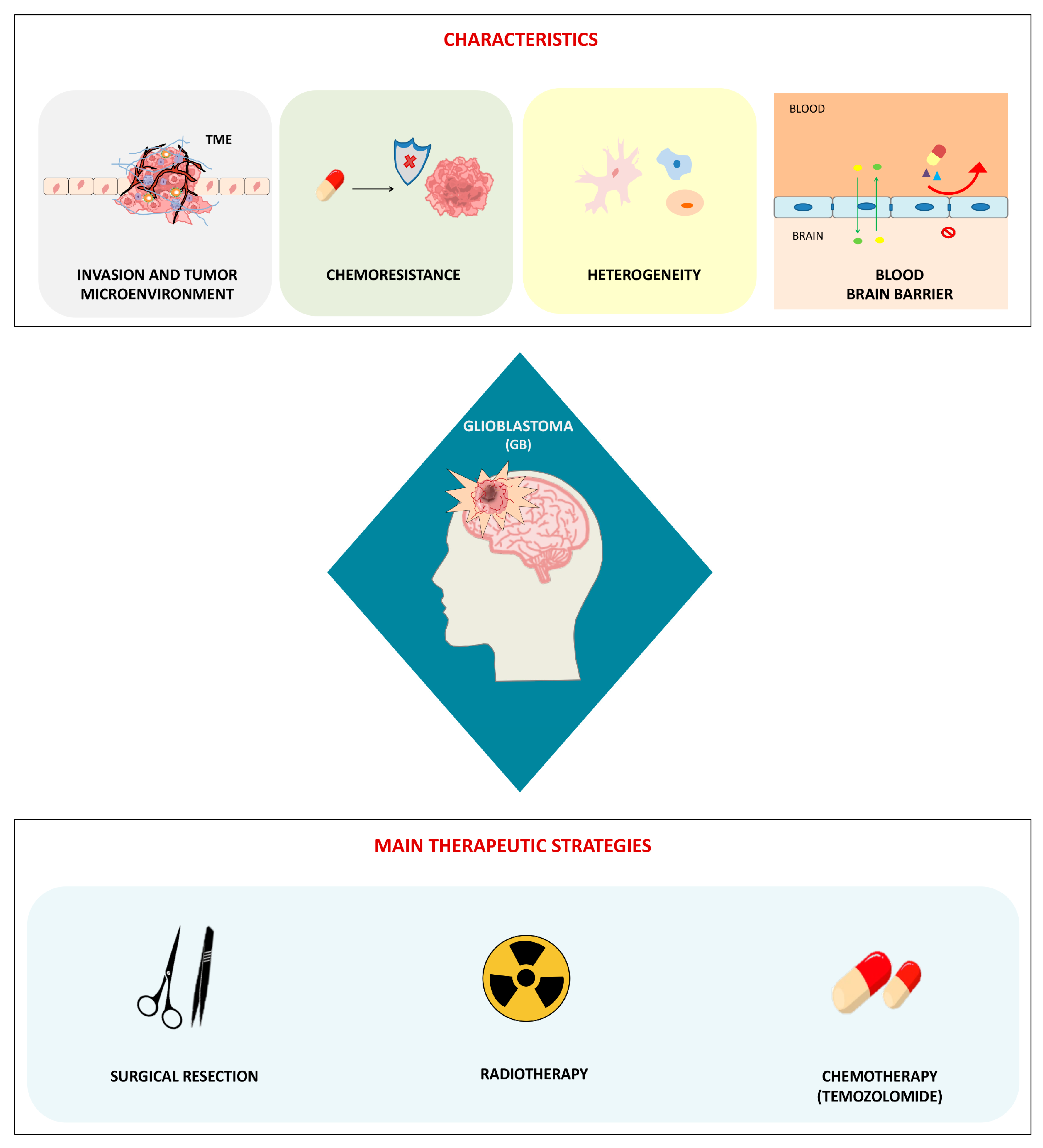 Biology 14 01490 g001 Biology 14 01490 g001