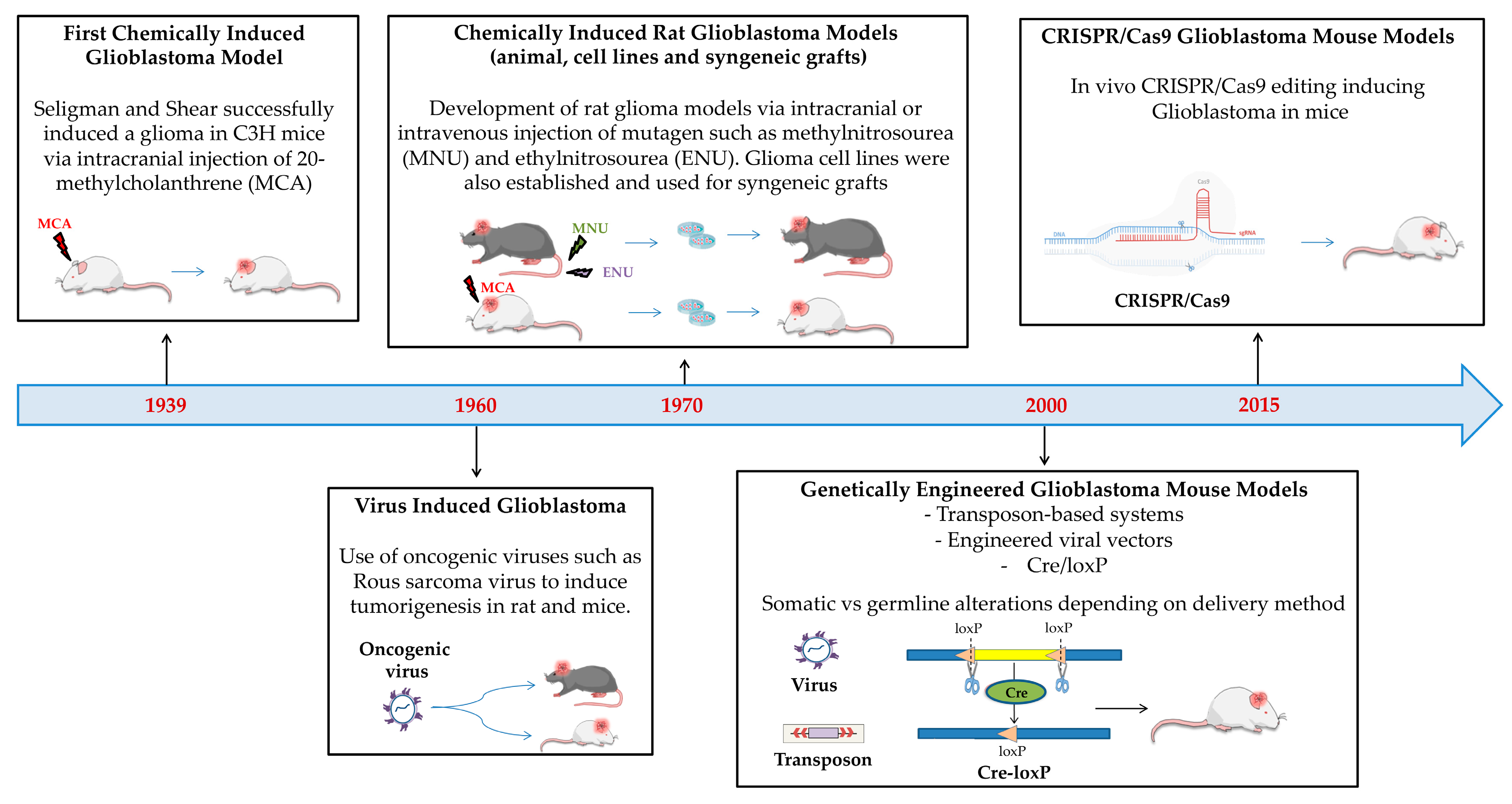 Biology 14 01490 g003 Biology 14 01490 g003