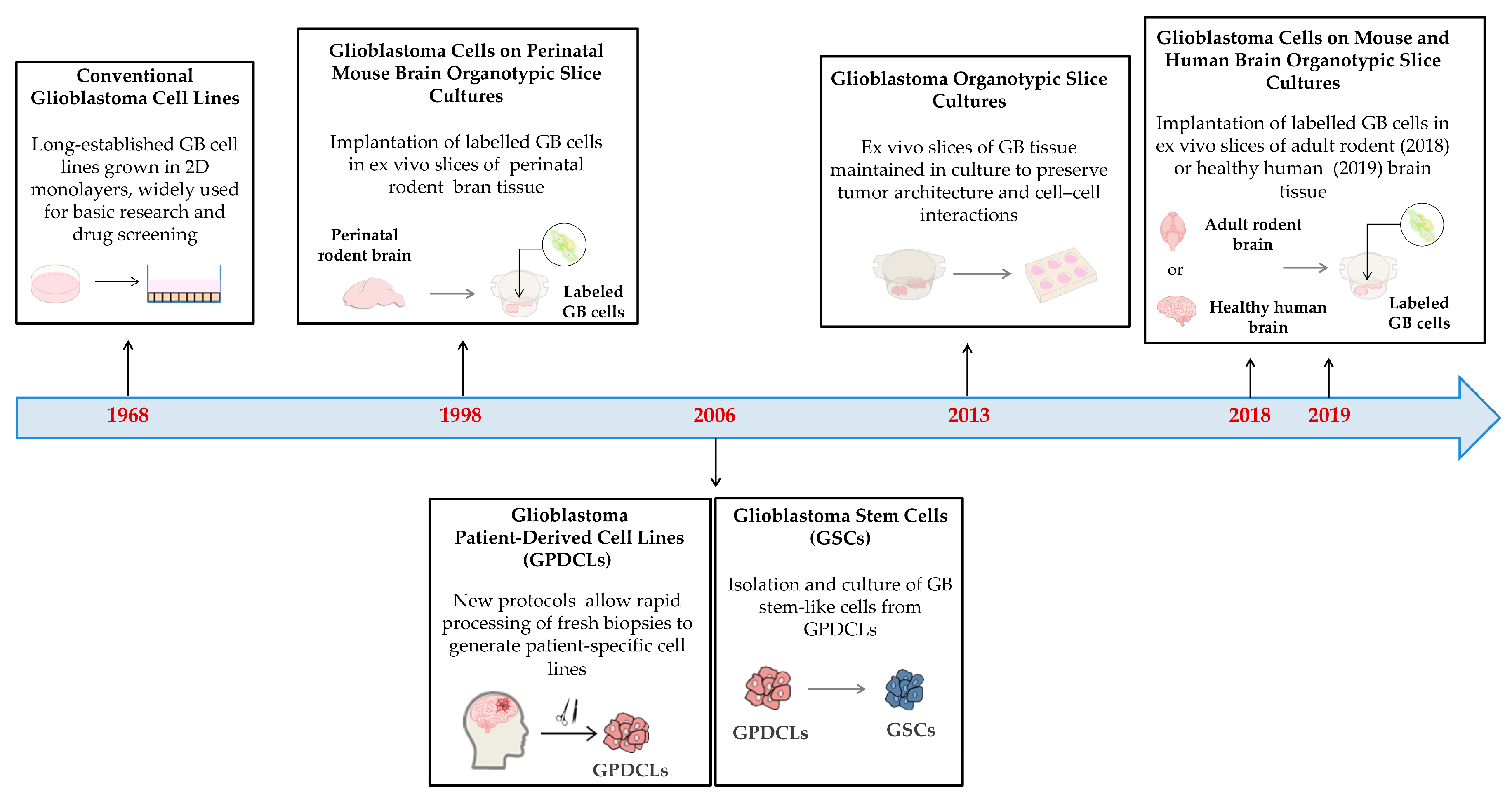 Biology 14 01490 g004 Biology 14 01490 g004