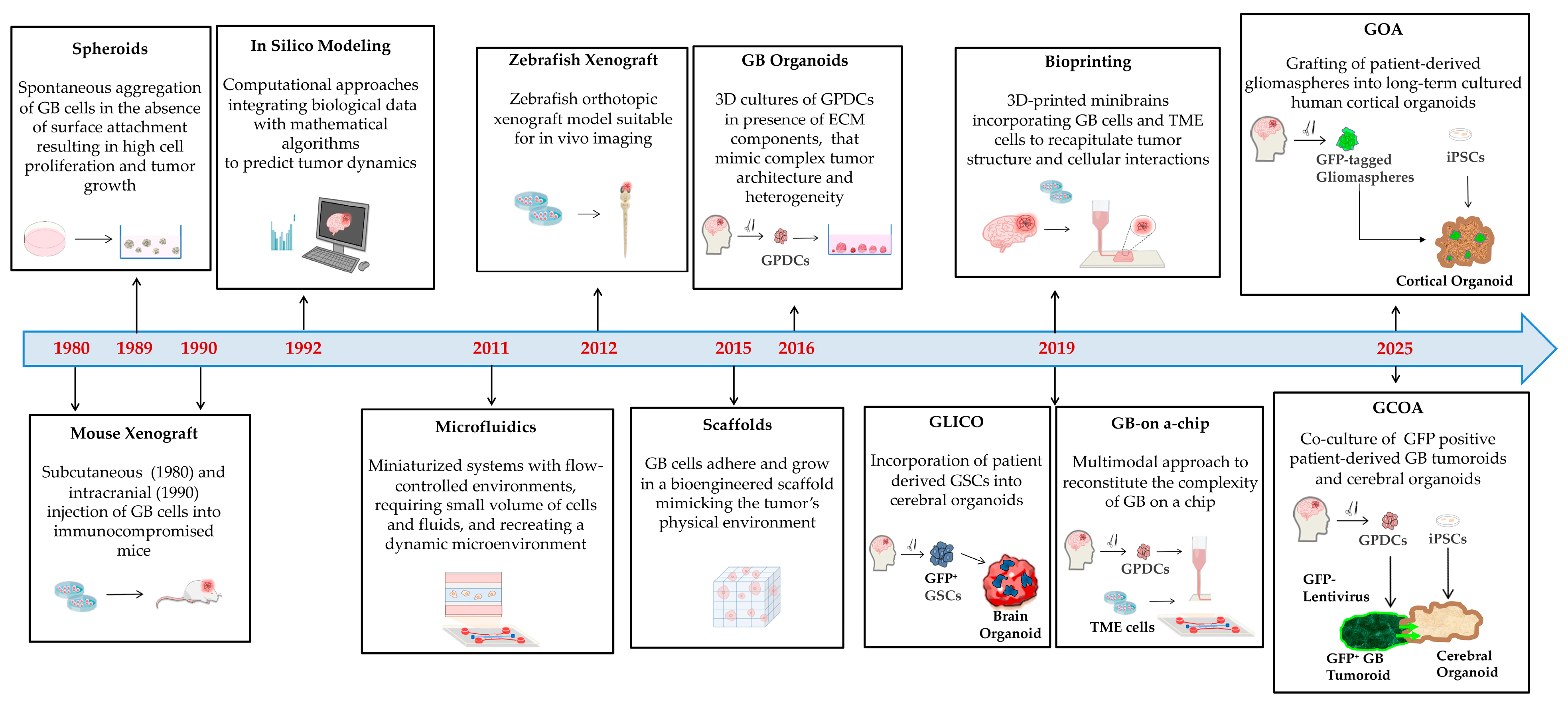 Biology 14 01490 g005 Biology 14 01490 g005
