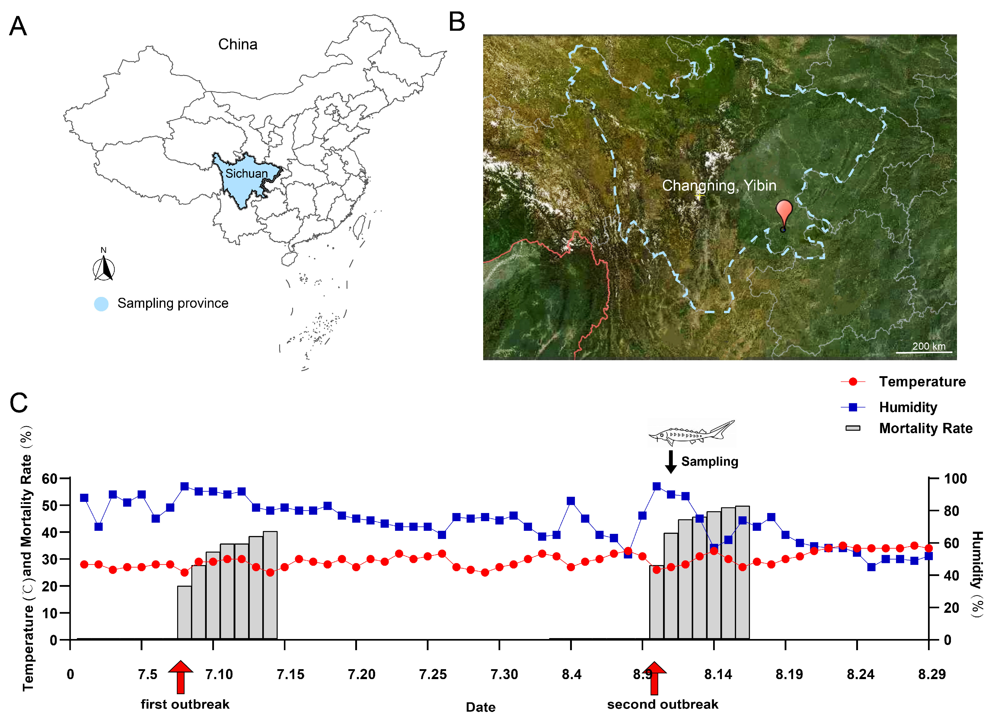 Biology 14 01498 g001