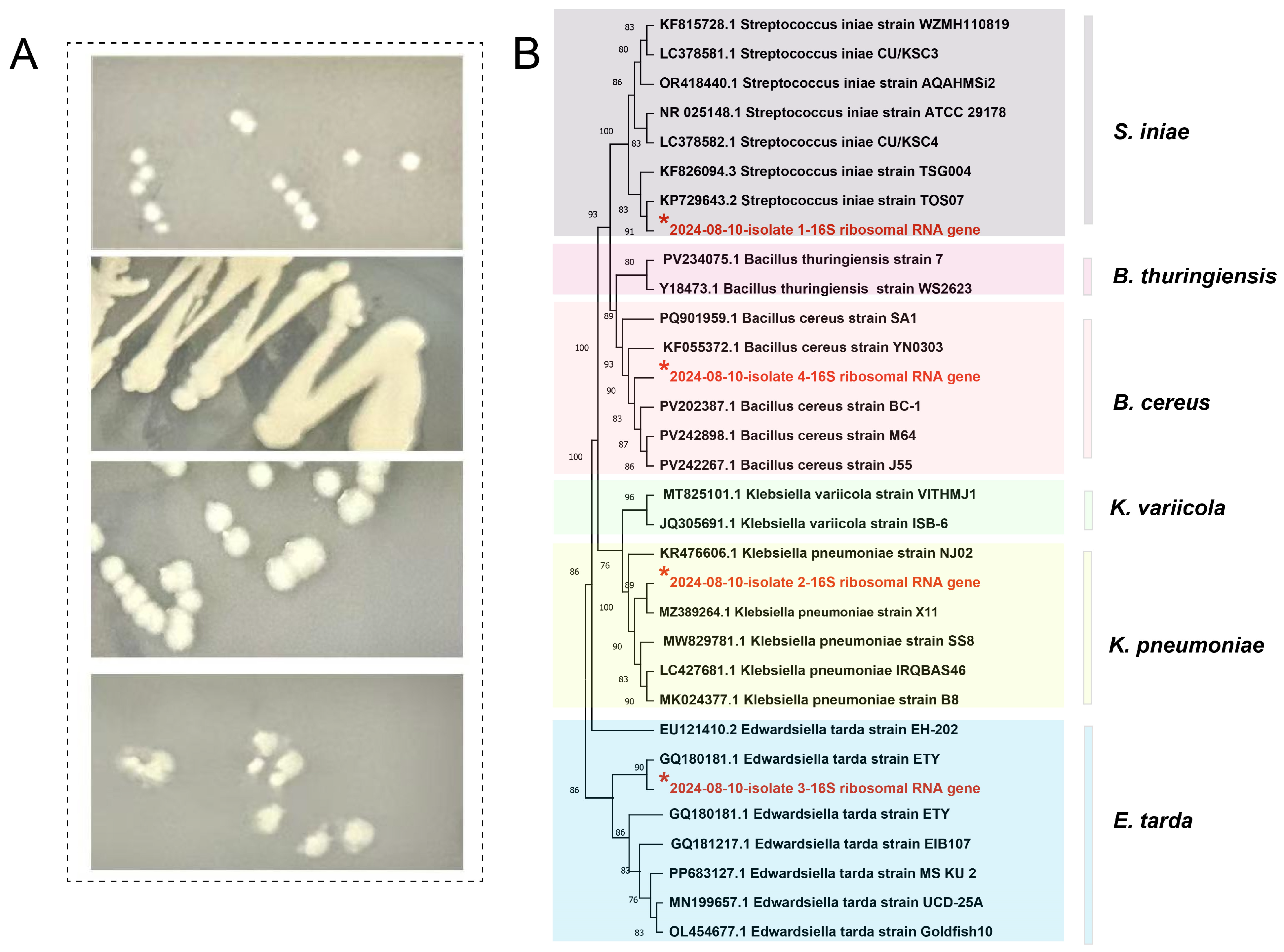 Biology 14 01498 g003