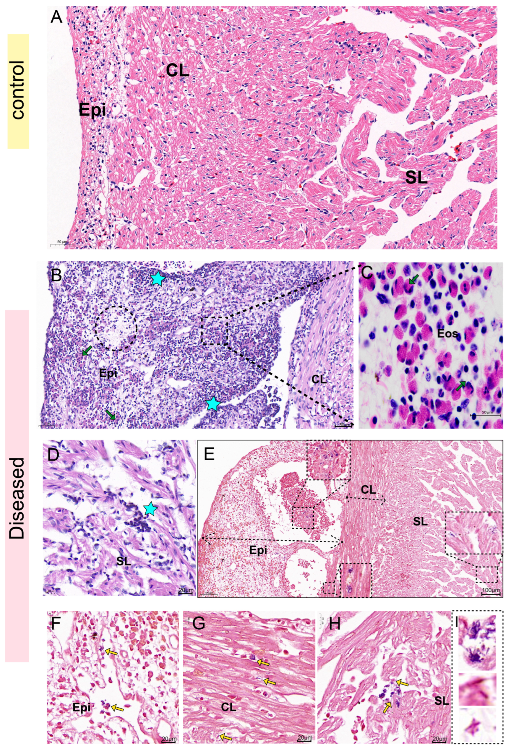 Biology 14 01498 g006