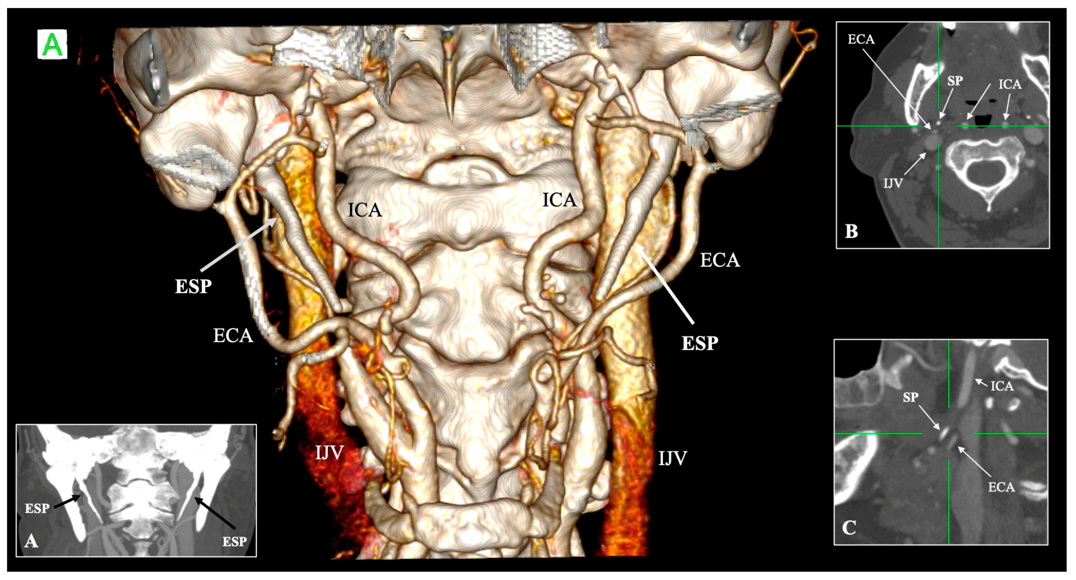 Biology 14 01500 g001 Biology 14 01500 g001