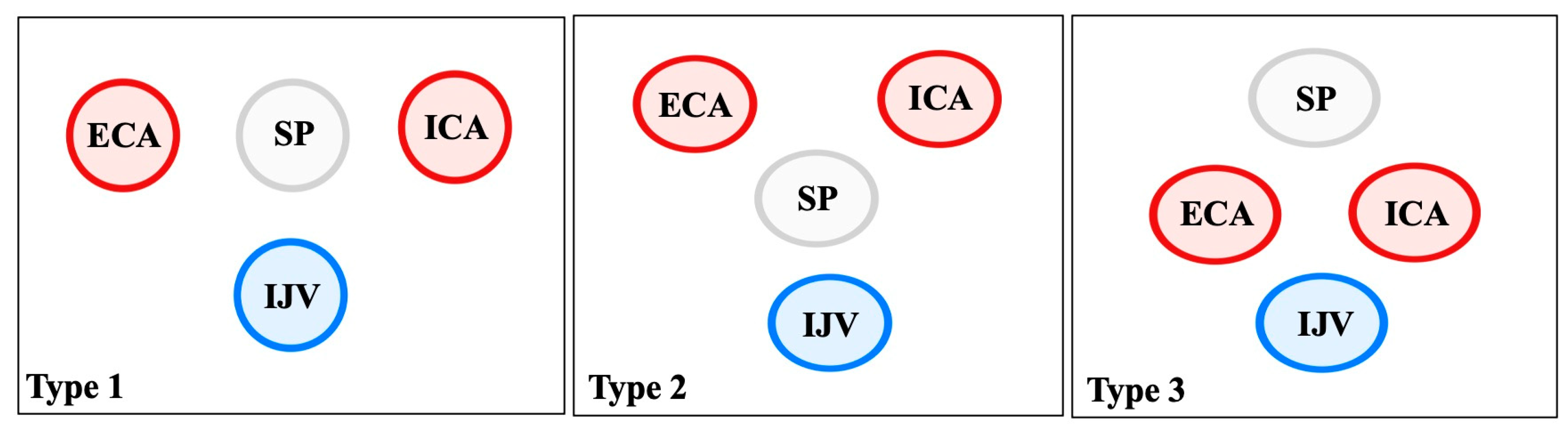 Biology 14 01500 g003 Biology 14 01500 g003