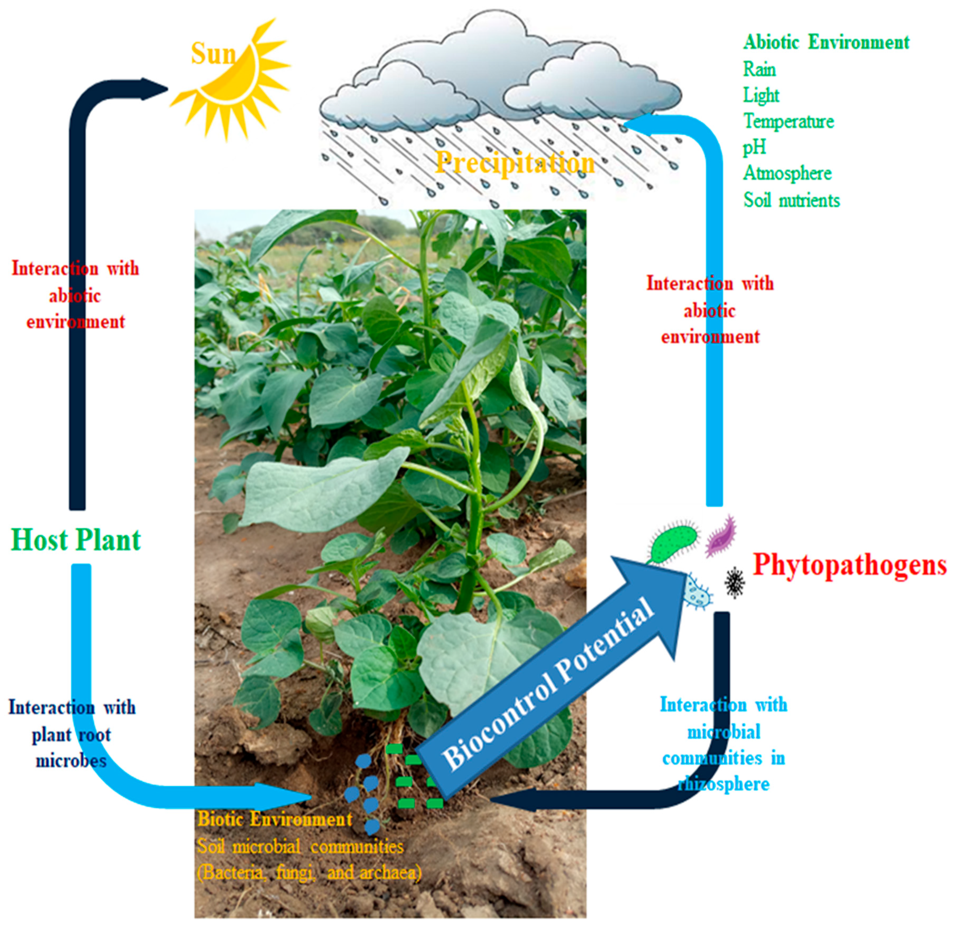 Biology 14 01505 g001 Biology 14 01505 g001