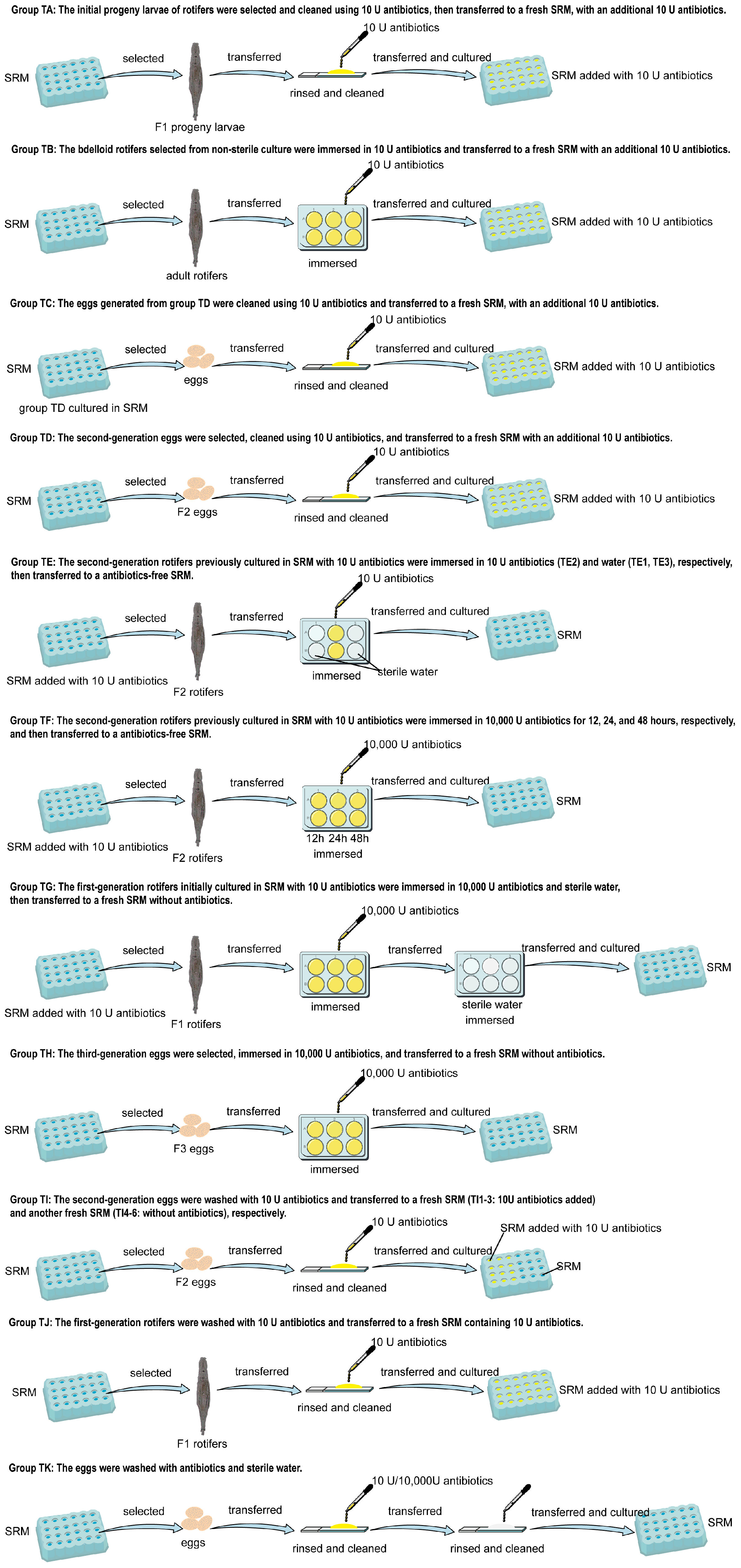 Biology 14 01507 g001 Biology 14 01507 g001
