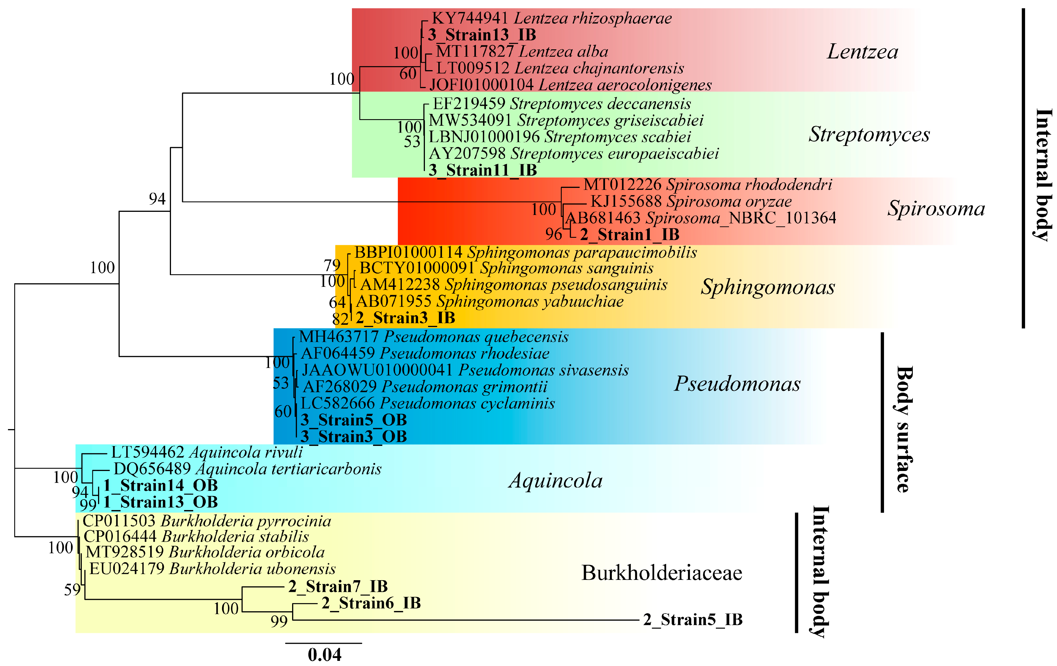 Biology 14 01507 g004 Biology 14 01507 g004