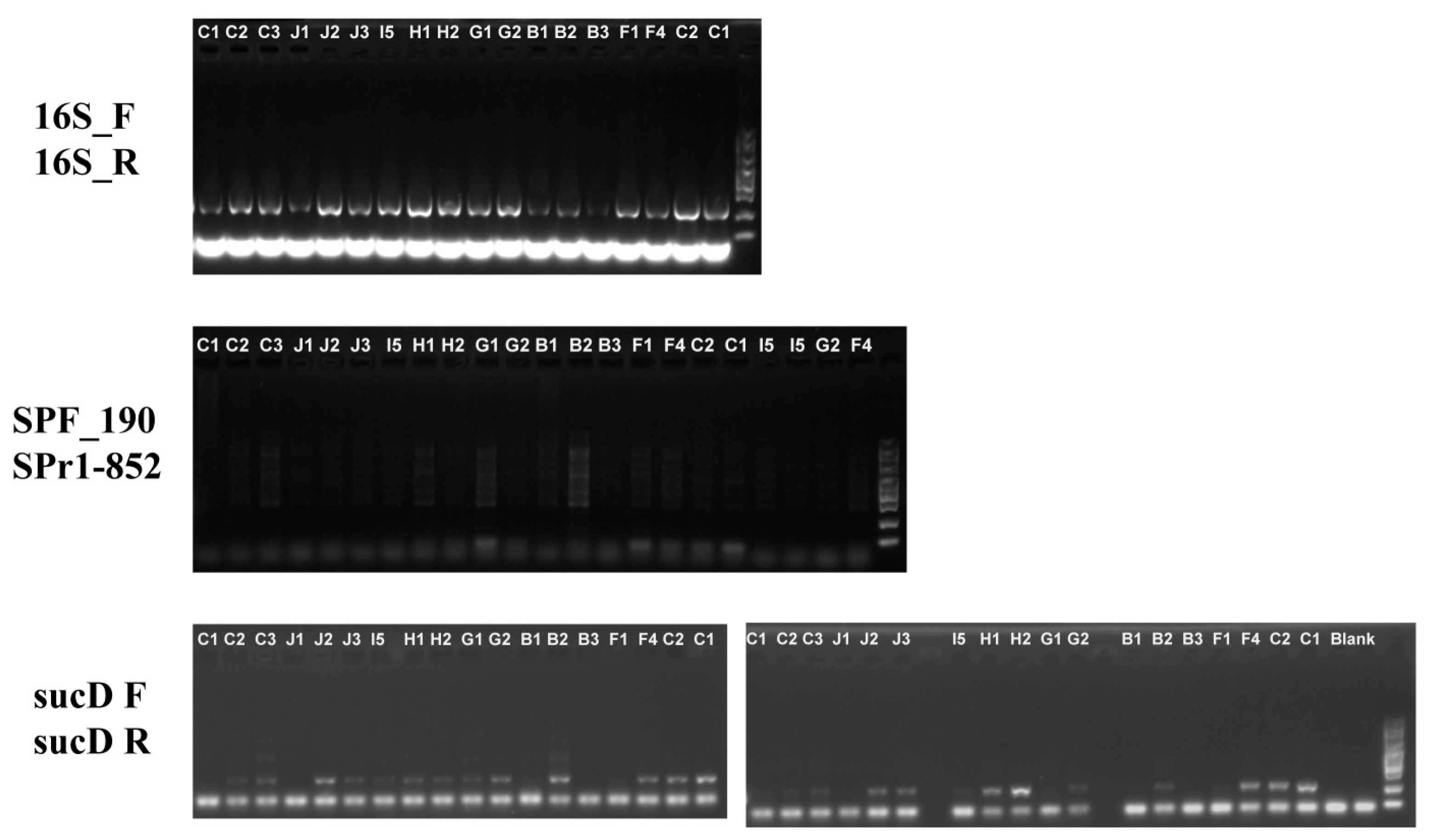 Biology 14 01507 g006 Biology 14 01507 g006
