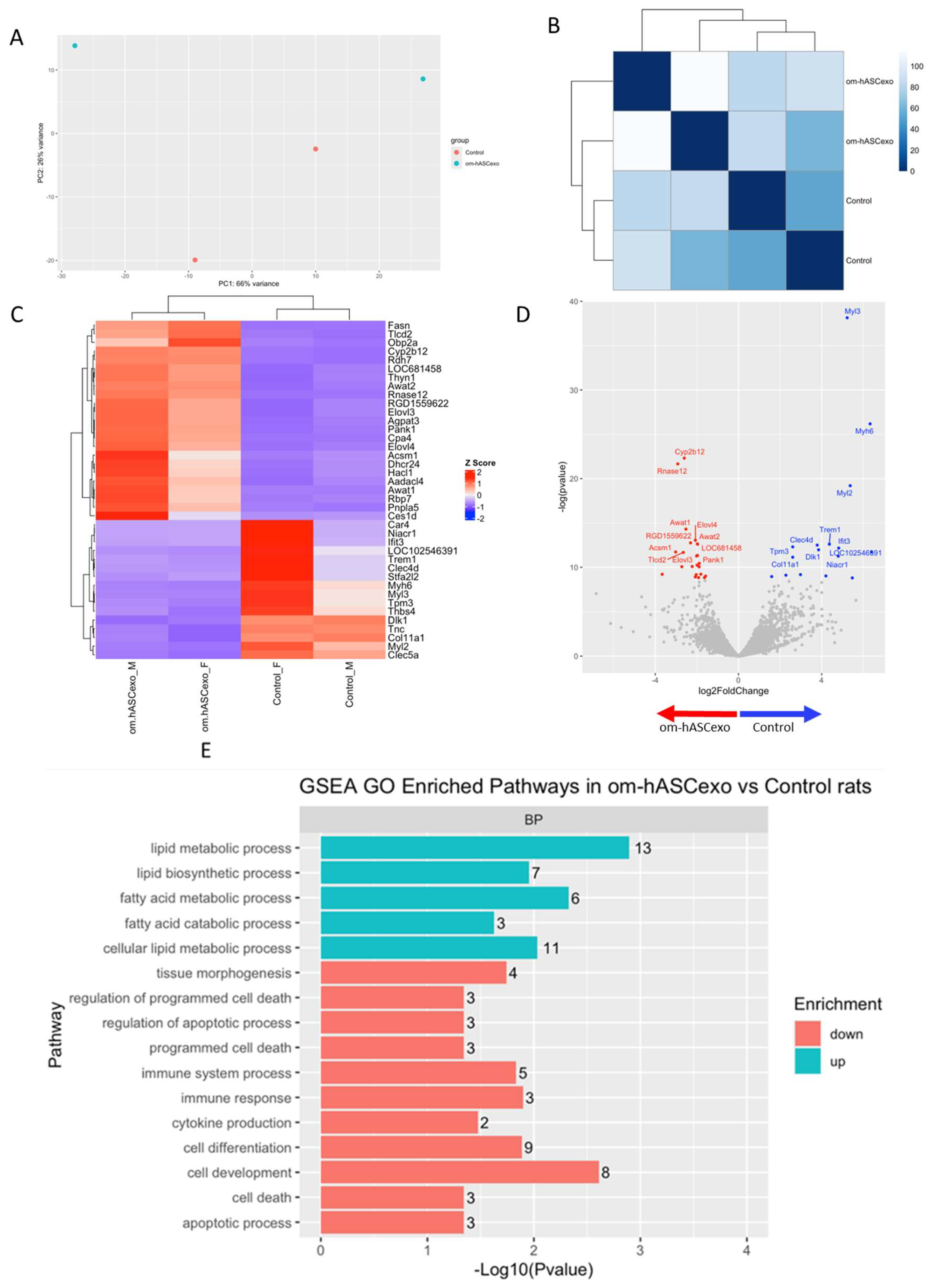 Biology 14 01509 g009a Biology 14 01509 g009a