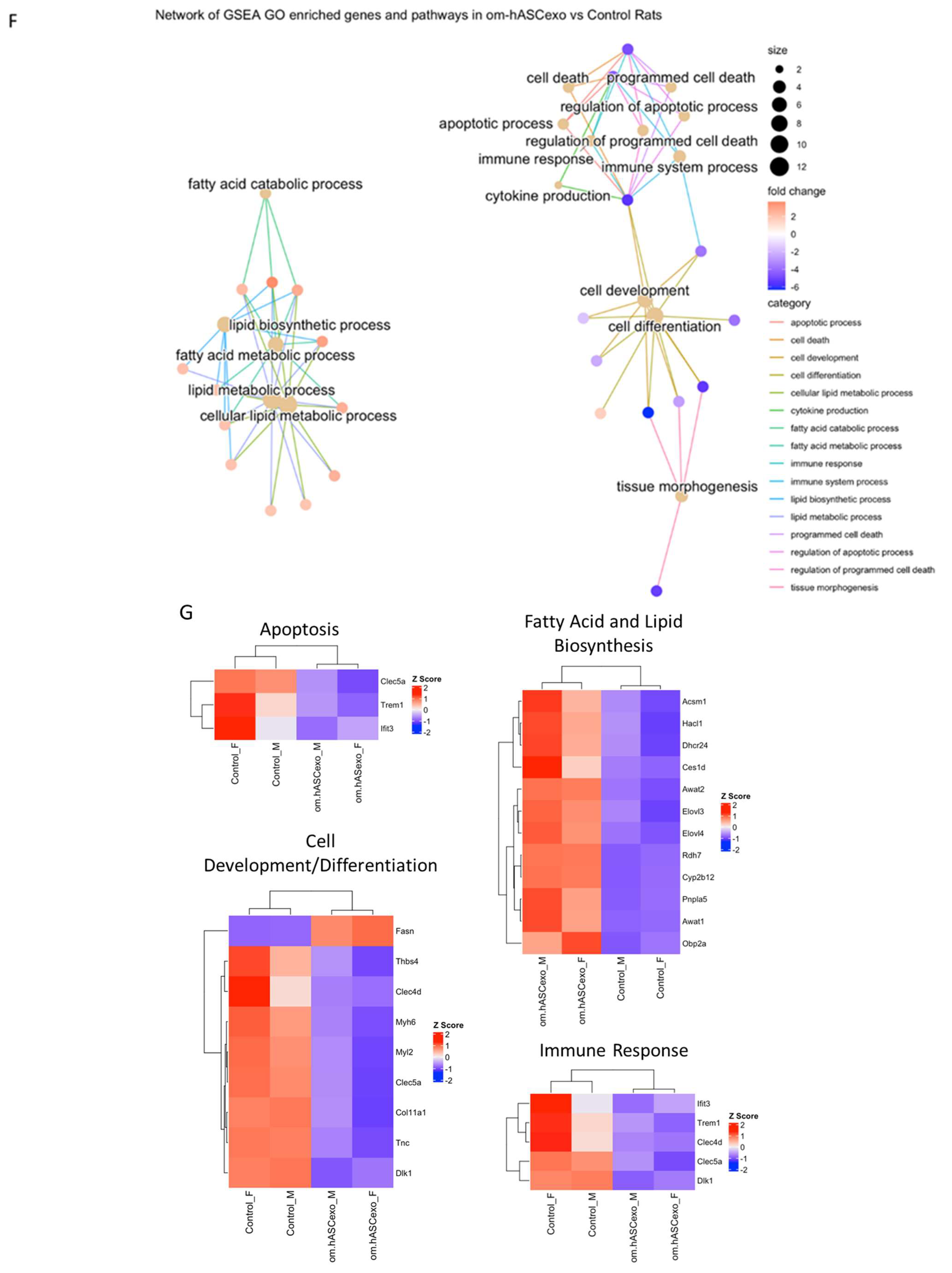 Biology 14 01509 g009b Biology 14 01509 g009b