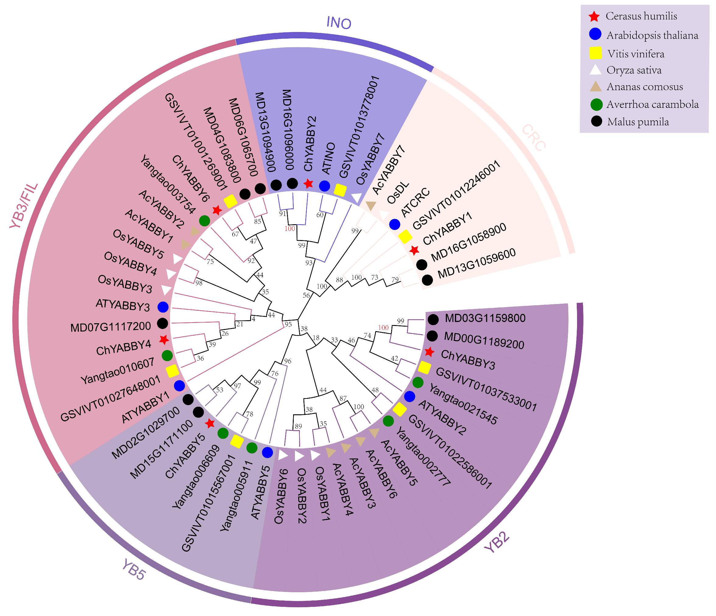 Biology 14 01511 g002 Biology 14 01511 g002