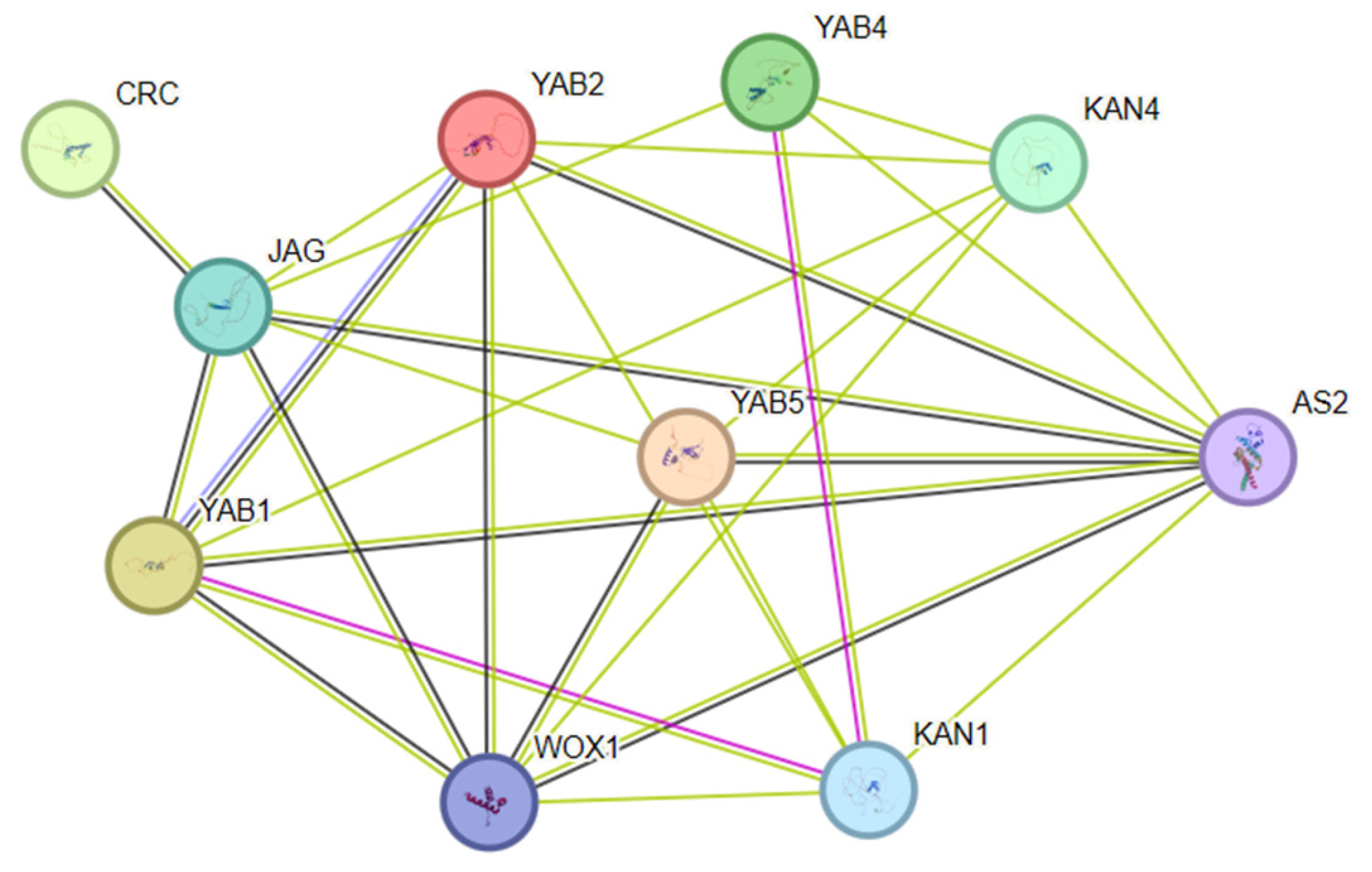 Biology 14 01511 g006 Biology 14 01511 g006