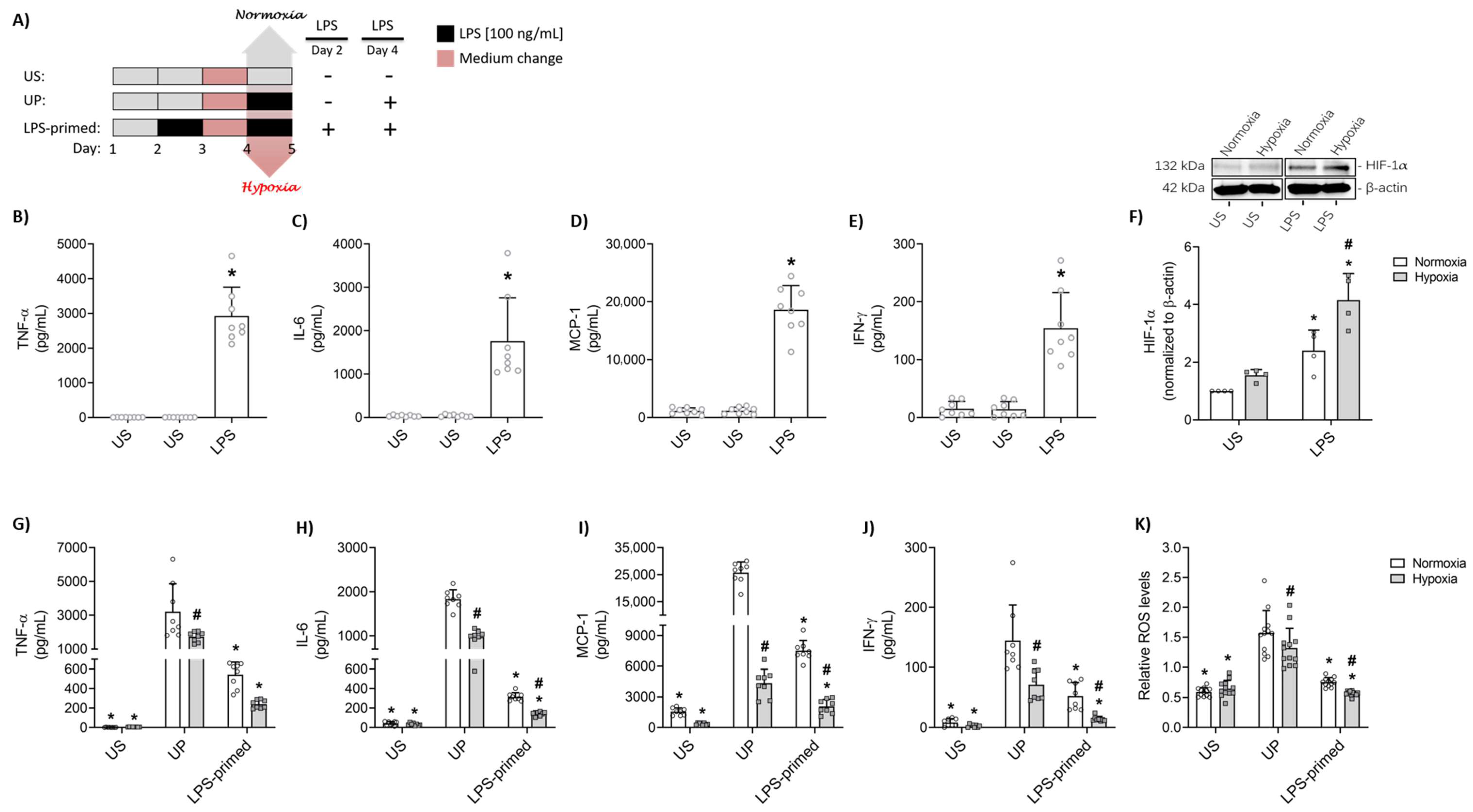 Biology 14 01512 g001 Biology 14 01512 g001