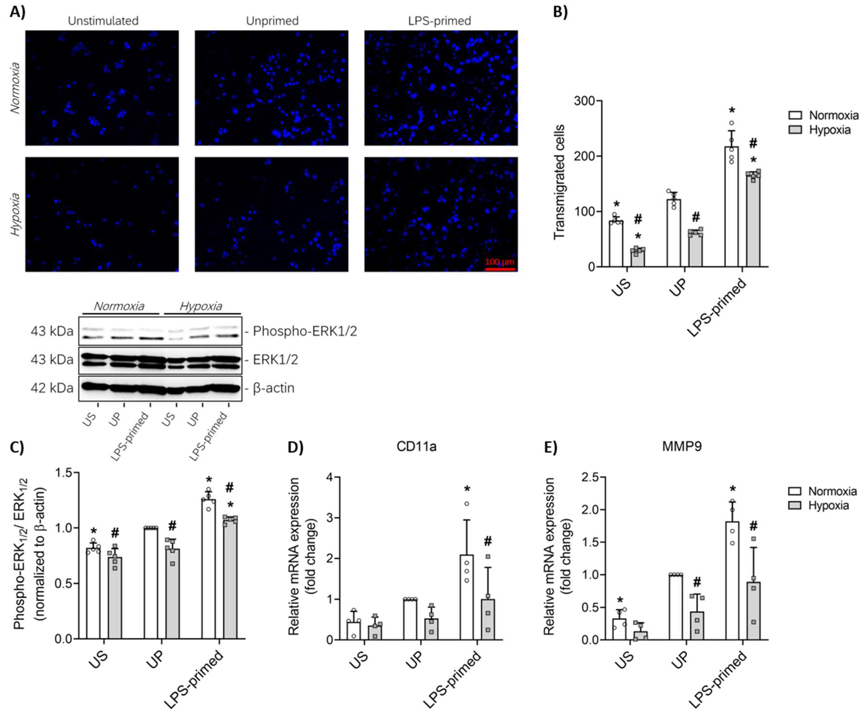 Biology 14 01512 g004 Biology 14 01512 g004