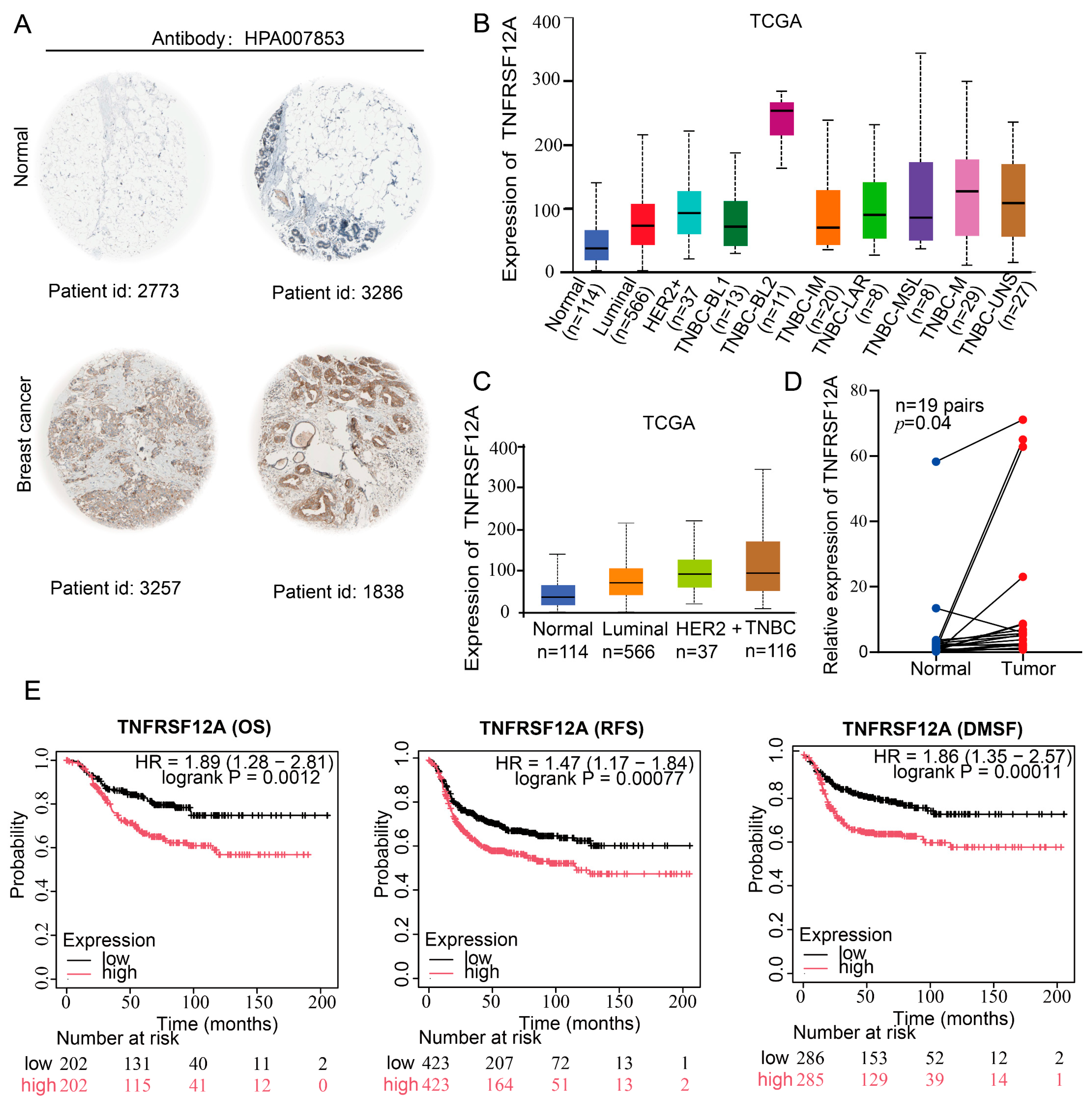 Biology 14 01513 g002 Biology 14 01513 g002