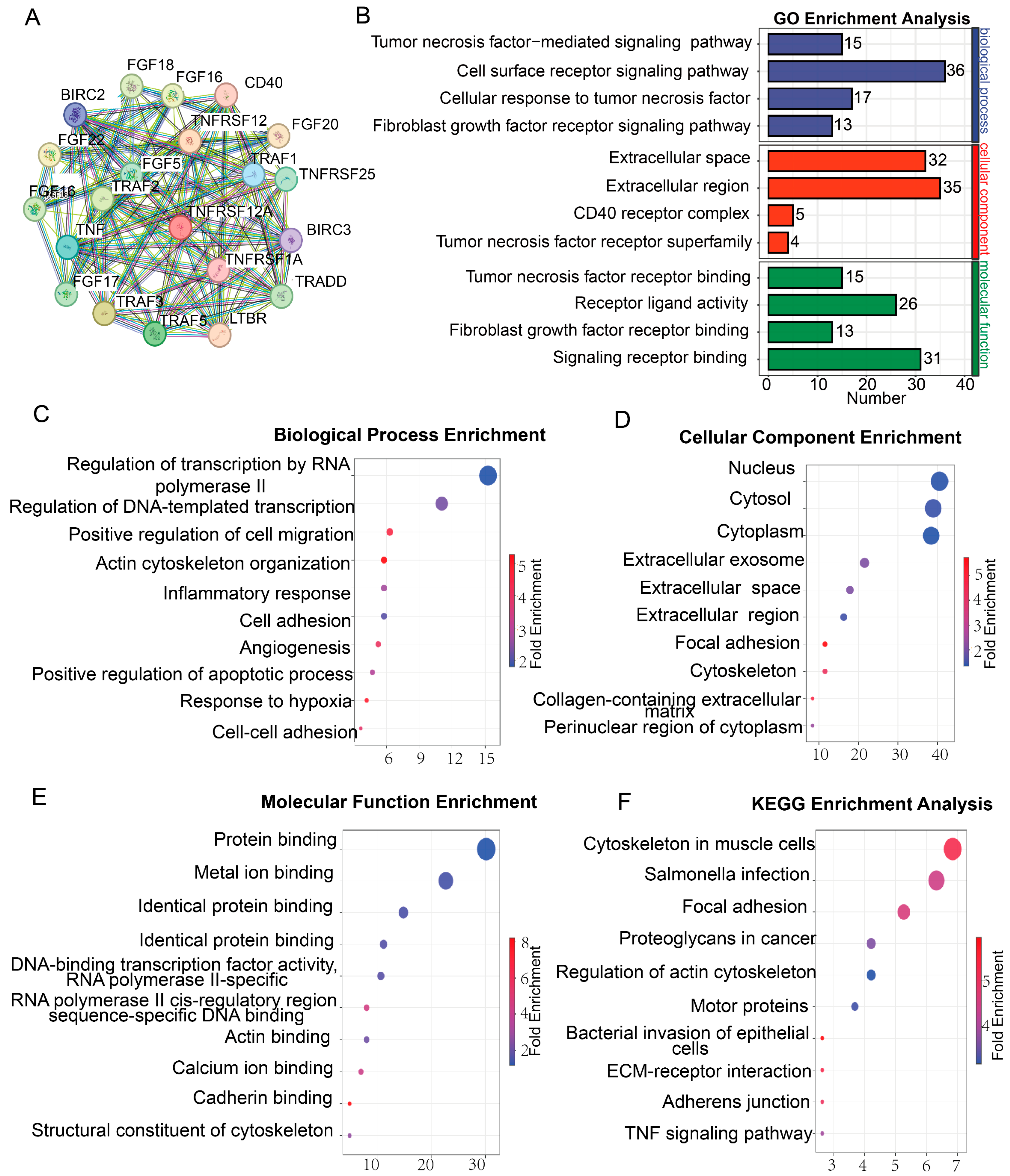 Biology 14 01513 g003 Biology 14 01513 g003
