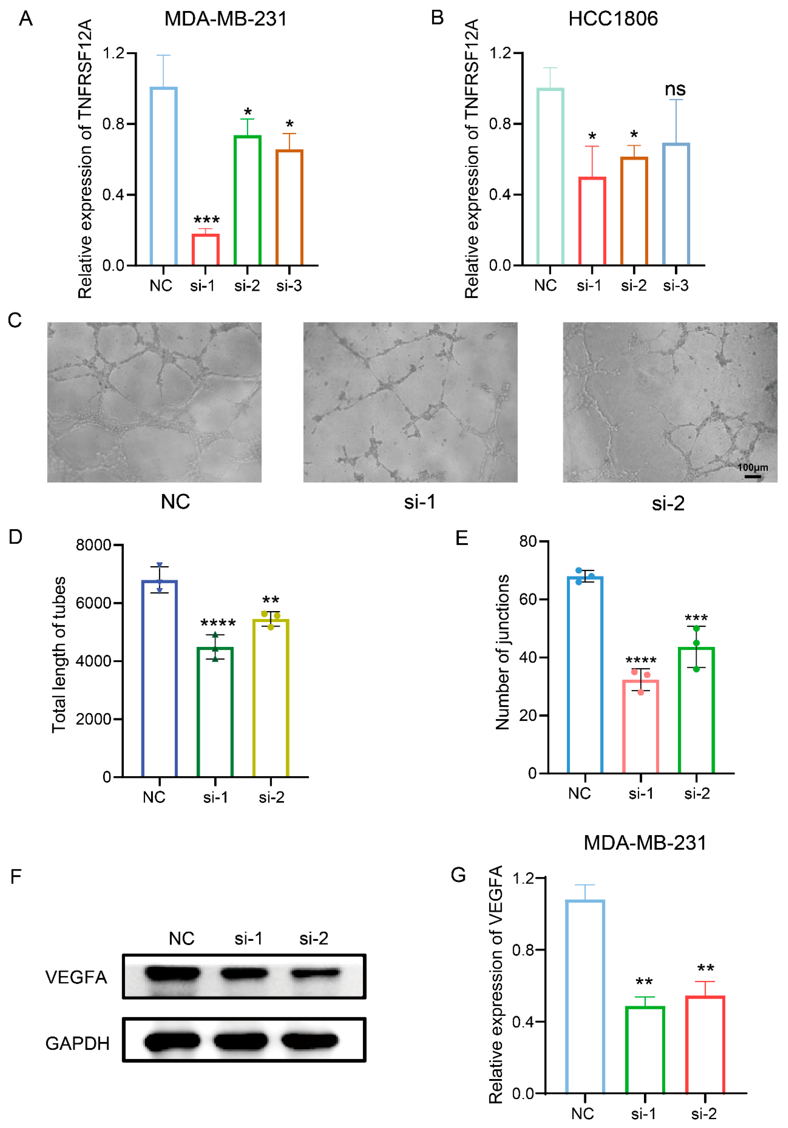 Biology 14 01513 g004 Biology 14 01513 g004