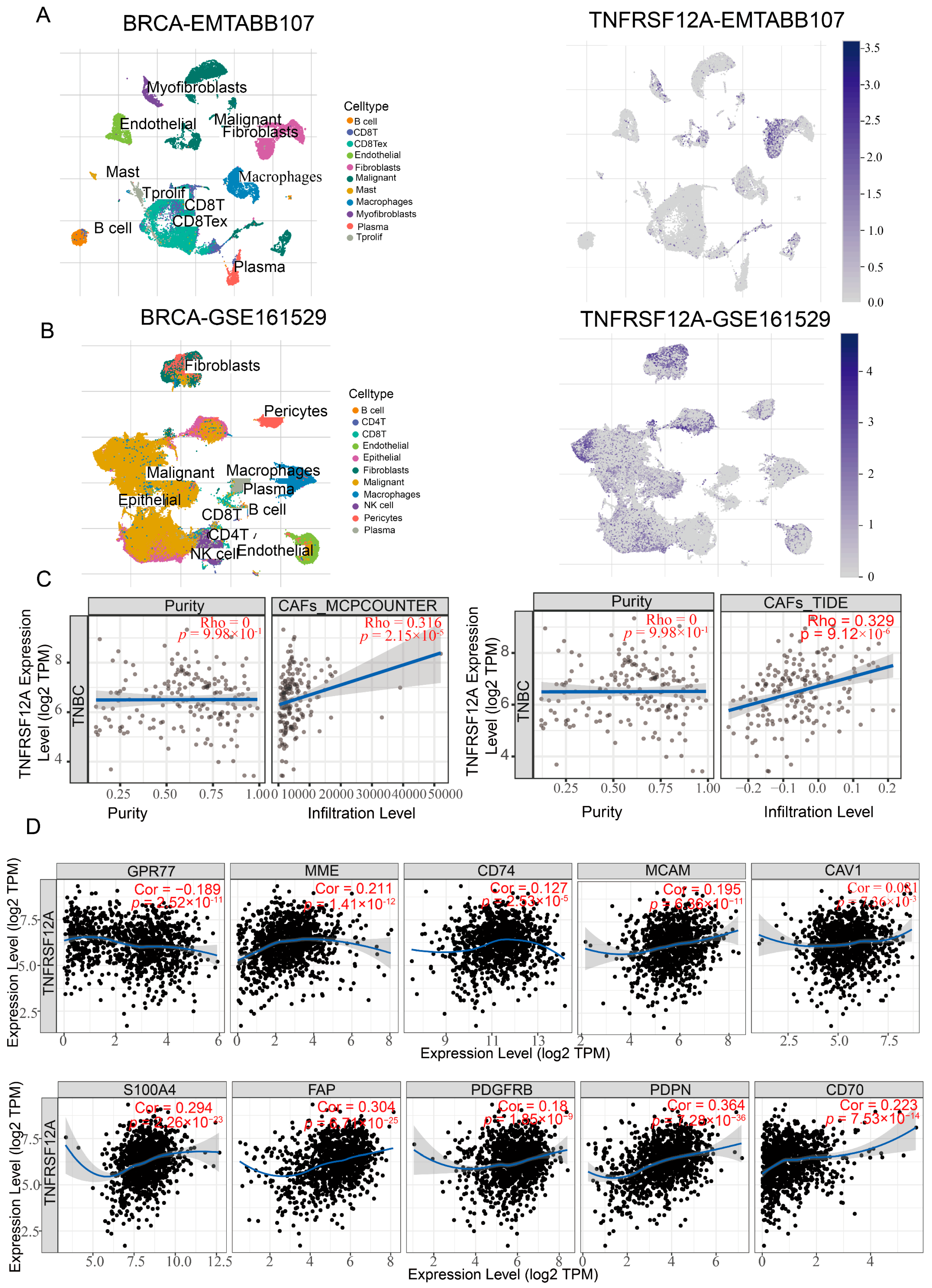 Biology 14 01513 g006 Biology 14 01513 g006