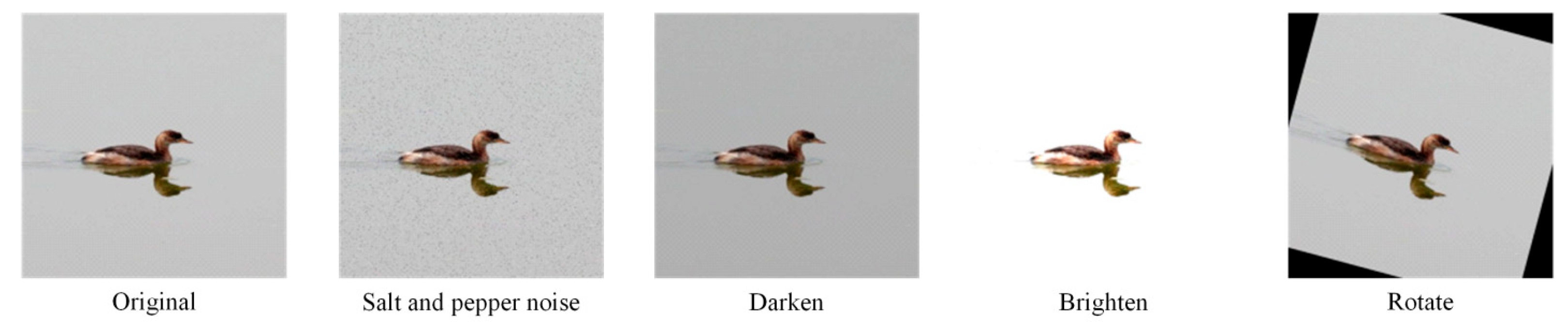 Biology 14 01515 g003