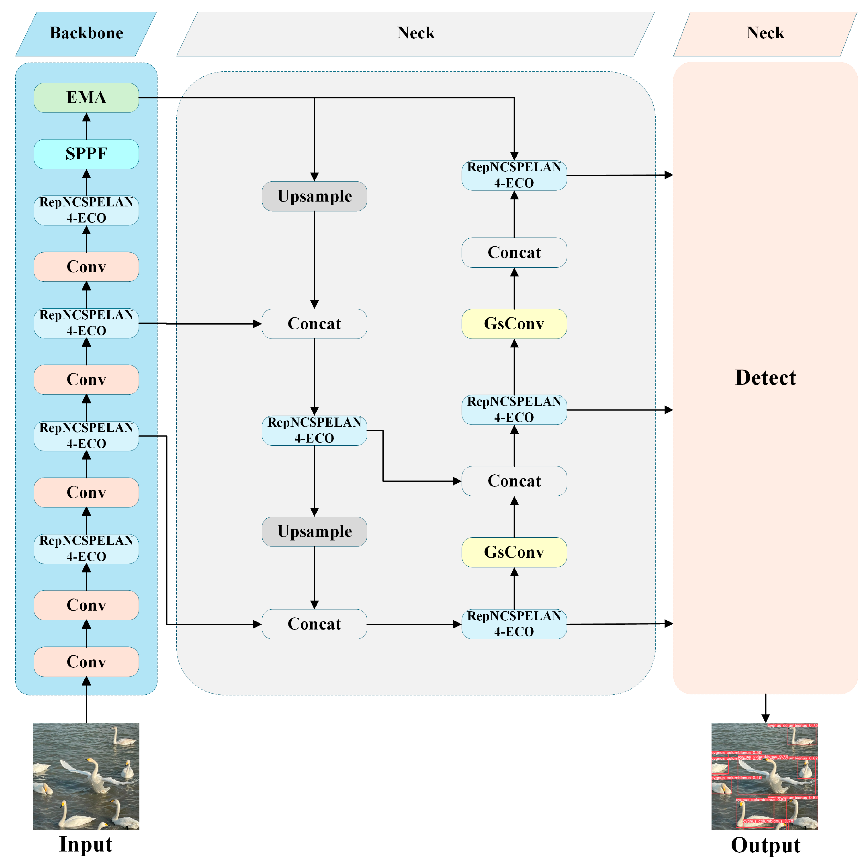 Biology 14 01515 g005