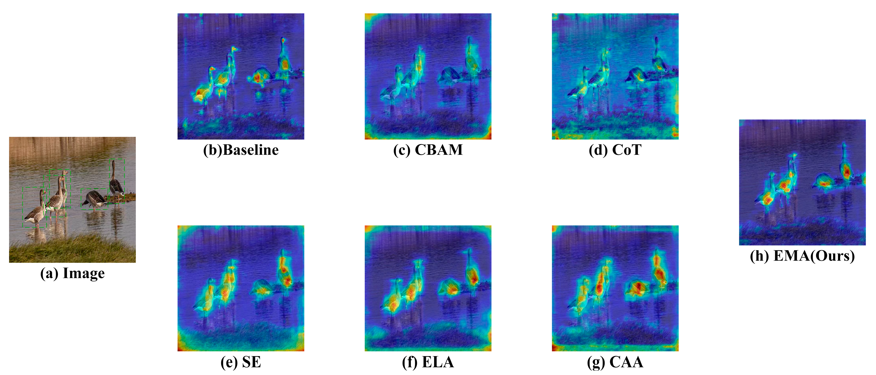 Biology 14 01515 g009