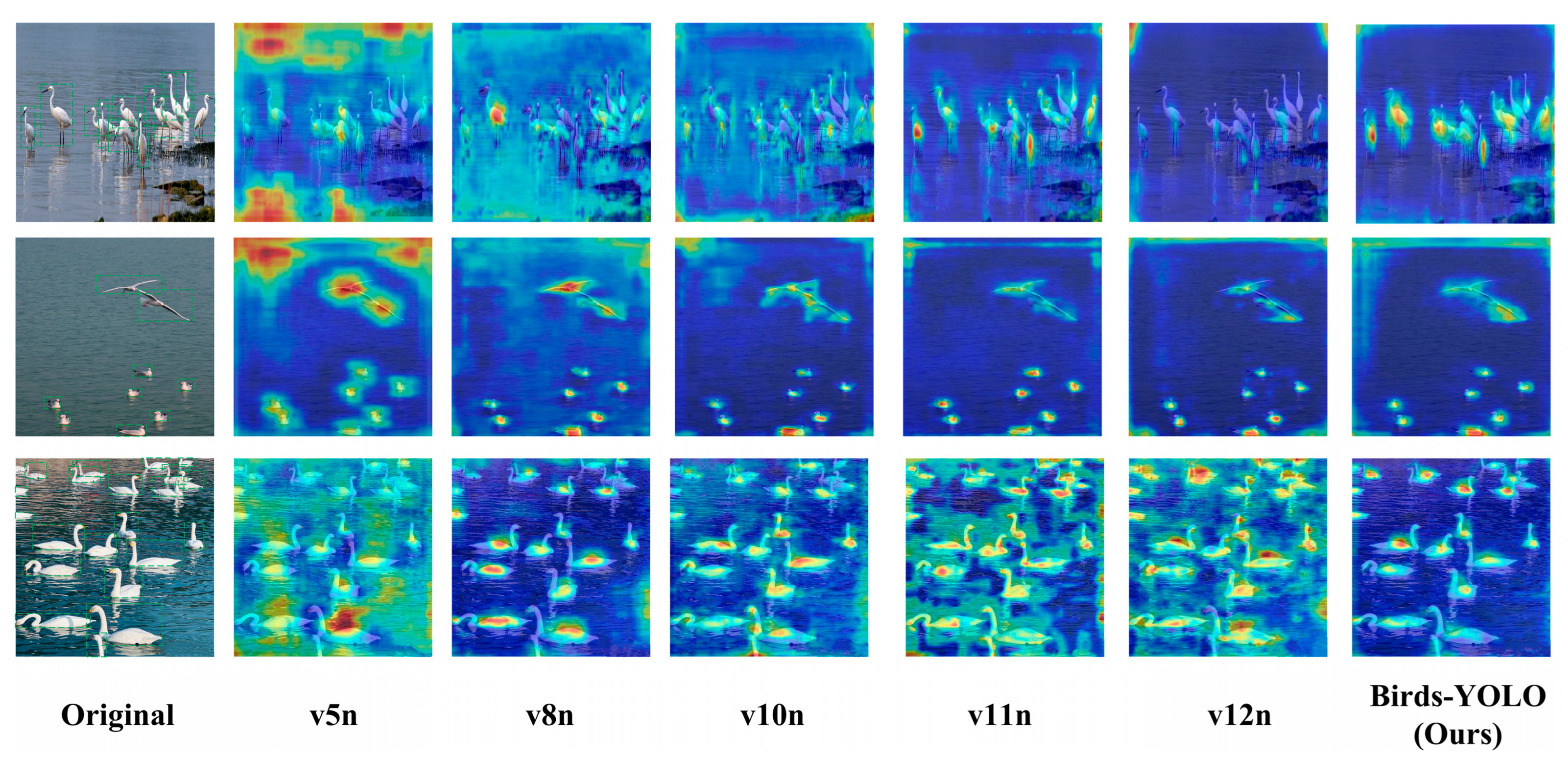 Biology 14 01515 g010
