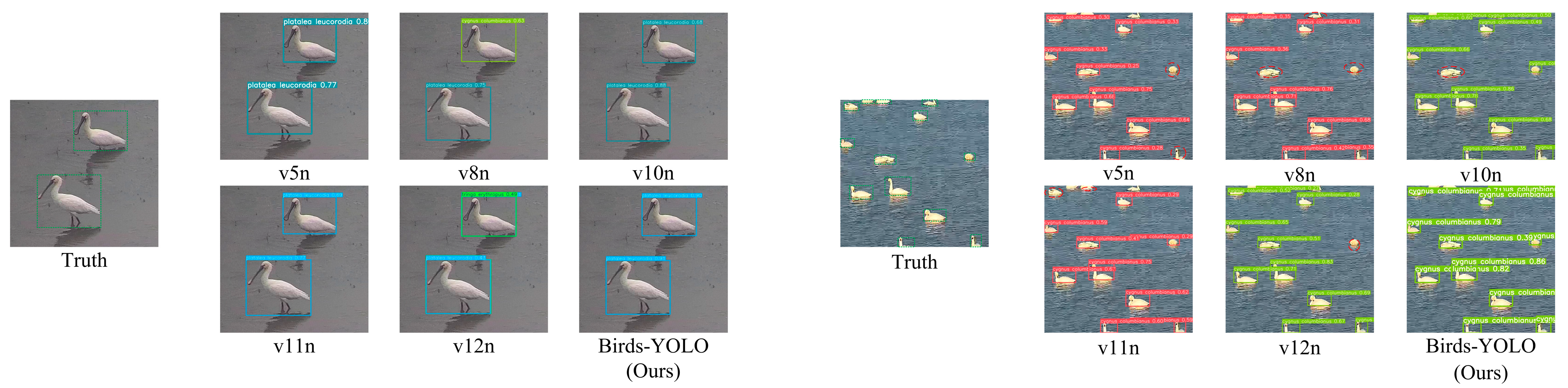 Biology 14 01515 g011