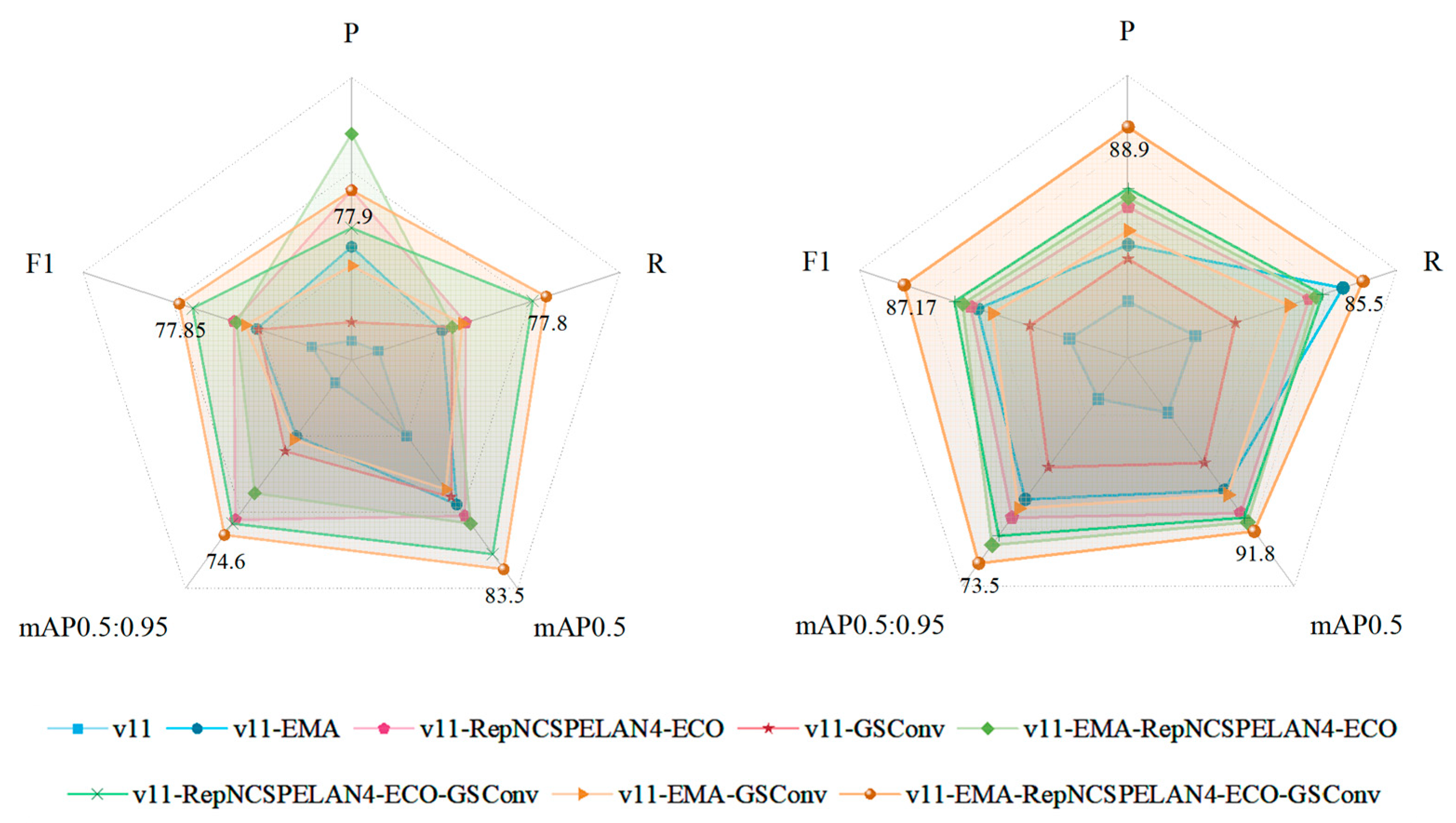 Biology 14 01515 g012
