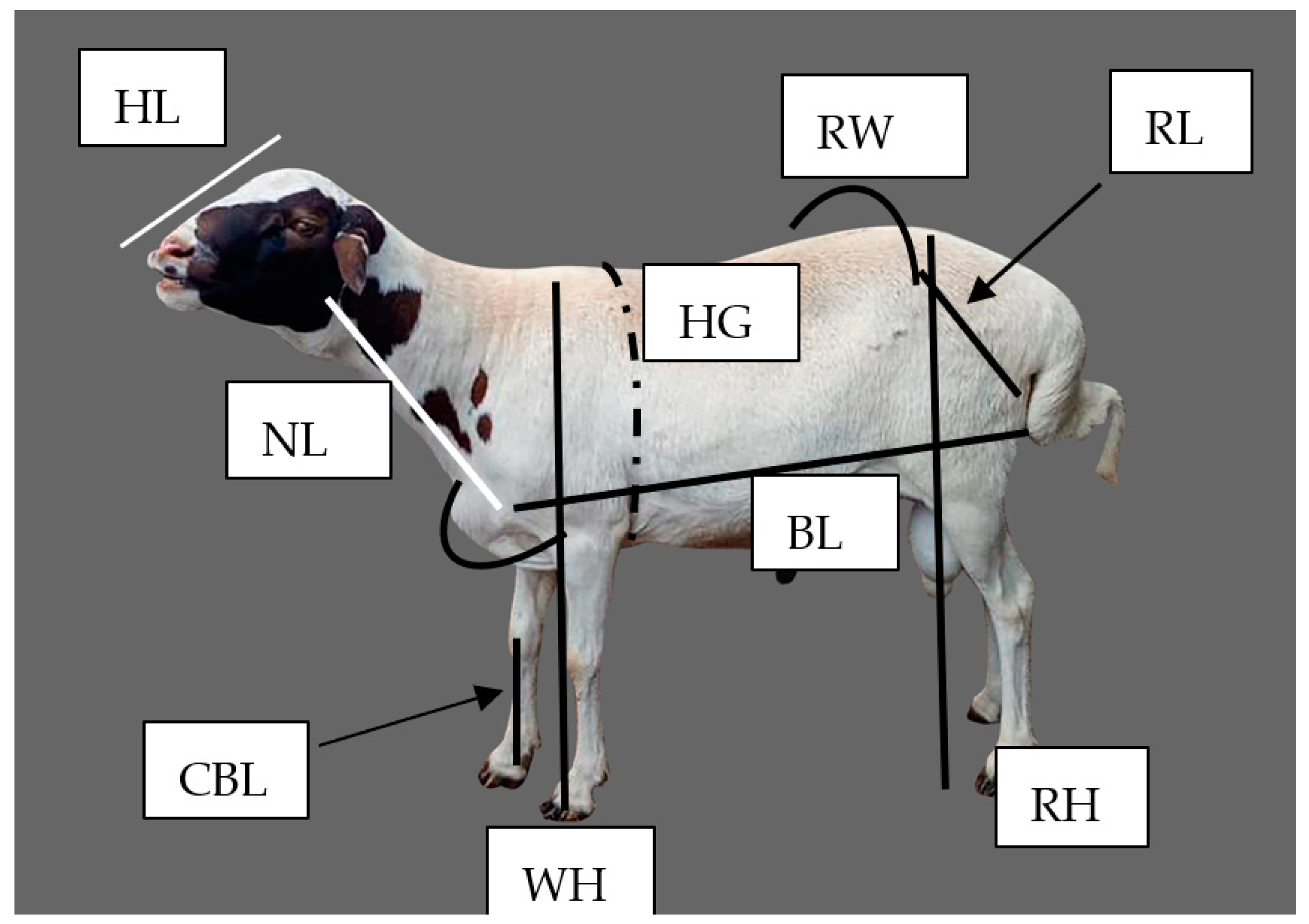 Biology 14 01516 g002 Biology 14 01516 g002