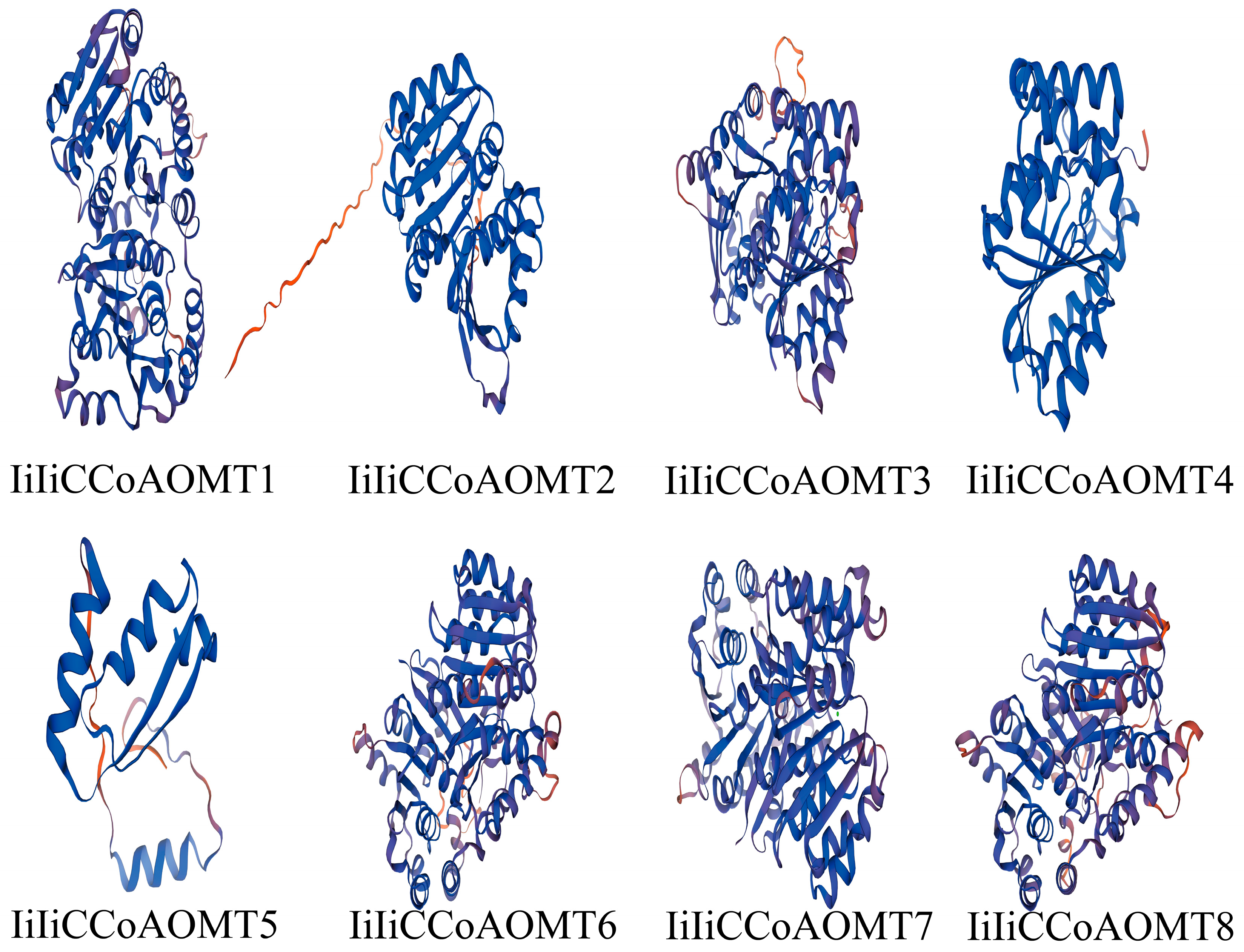 Biology 14 01518 g001 Biology 14 01518 g001