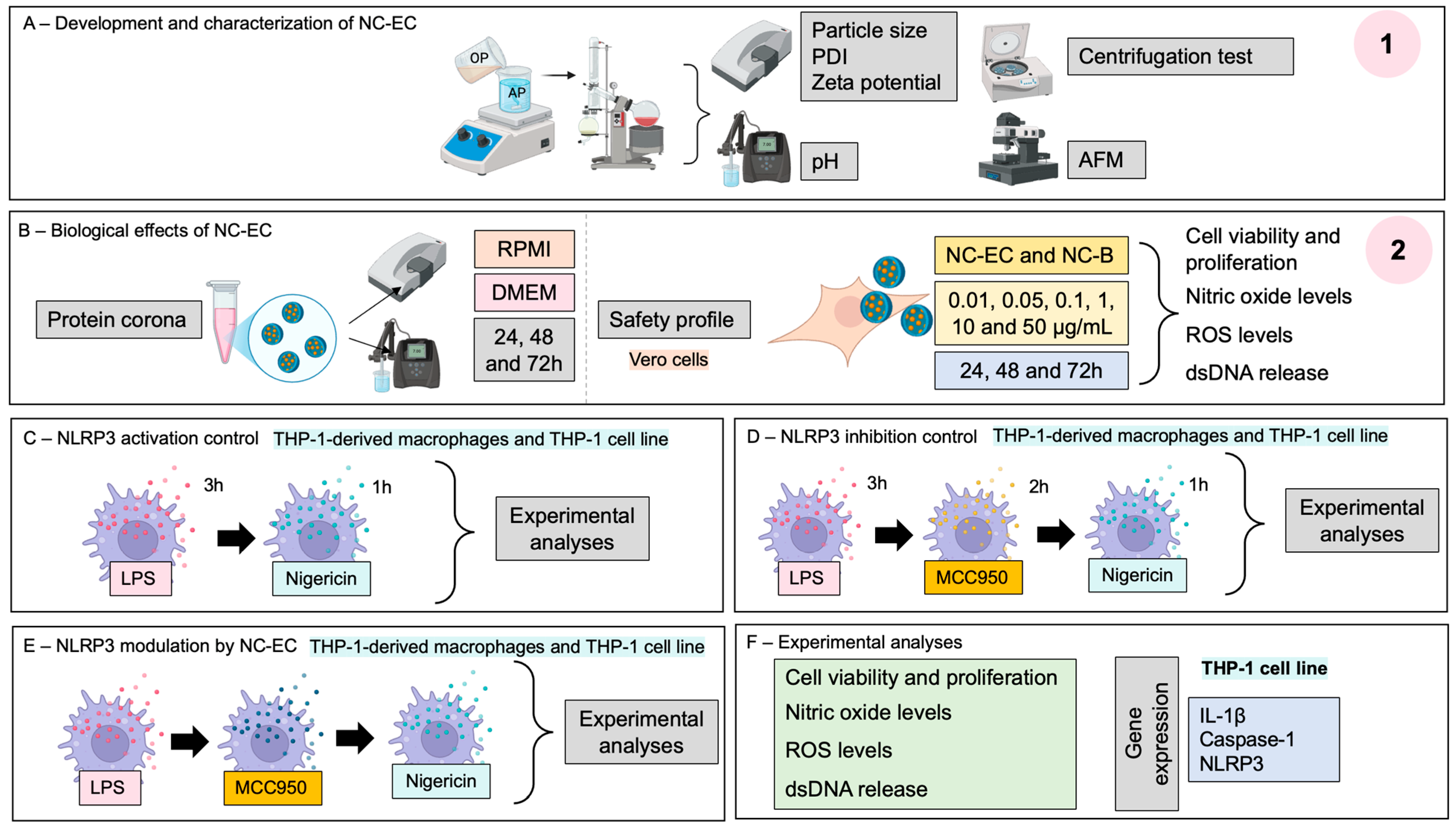 Biology 14 01520 g001 Biology 14 01520 g001