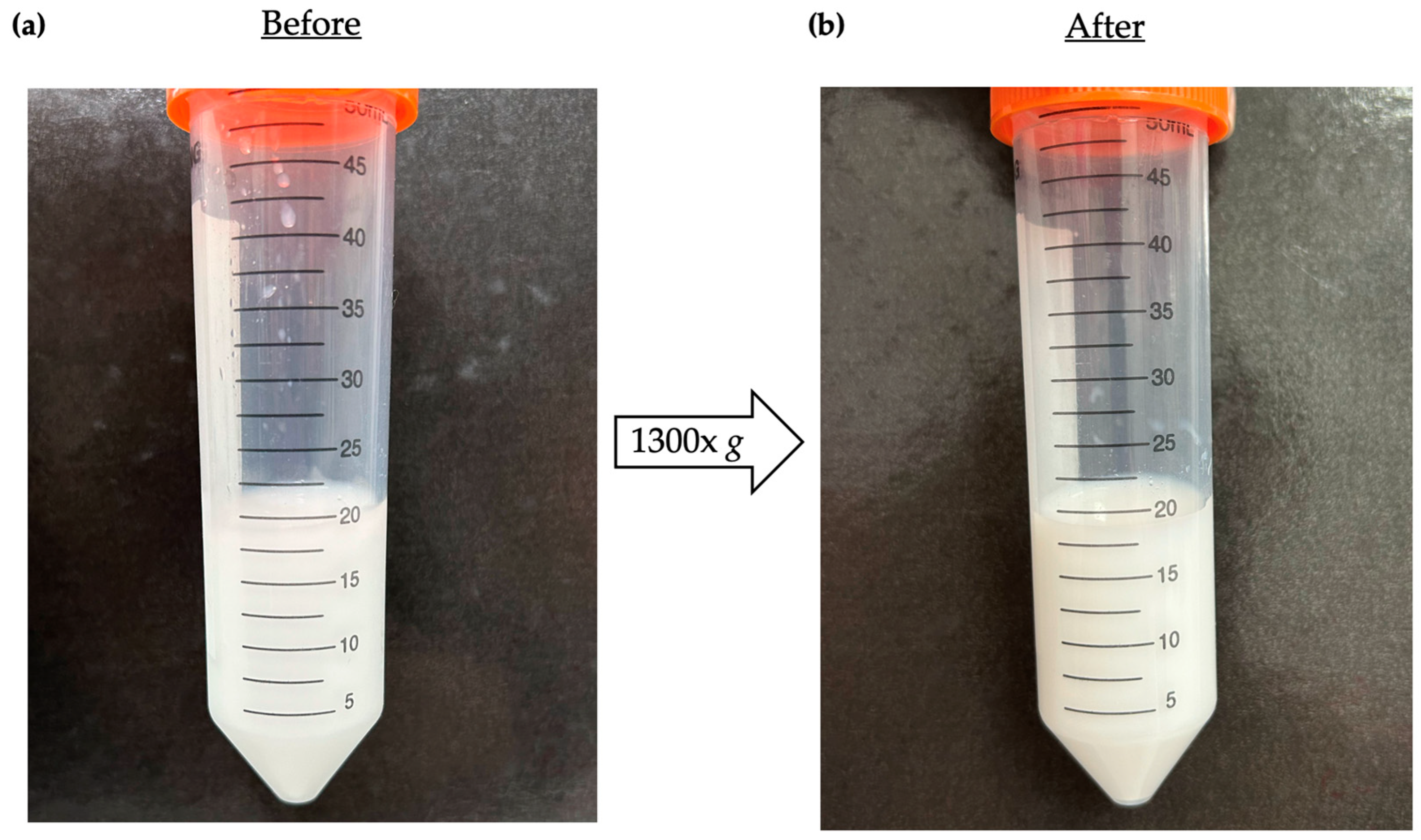 Biology 14 01520 g002 Biology 14 01520 g002