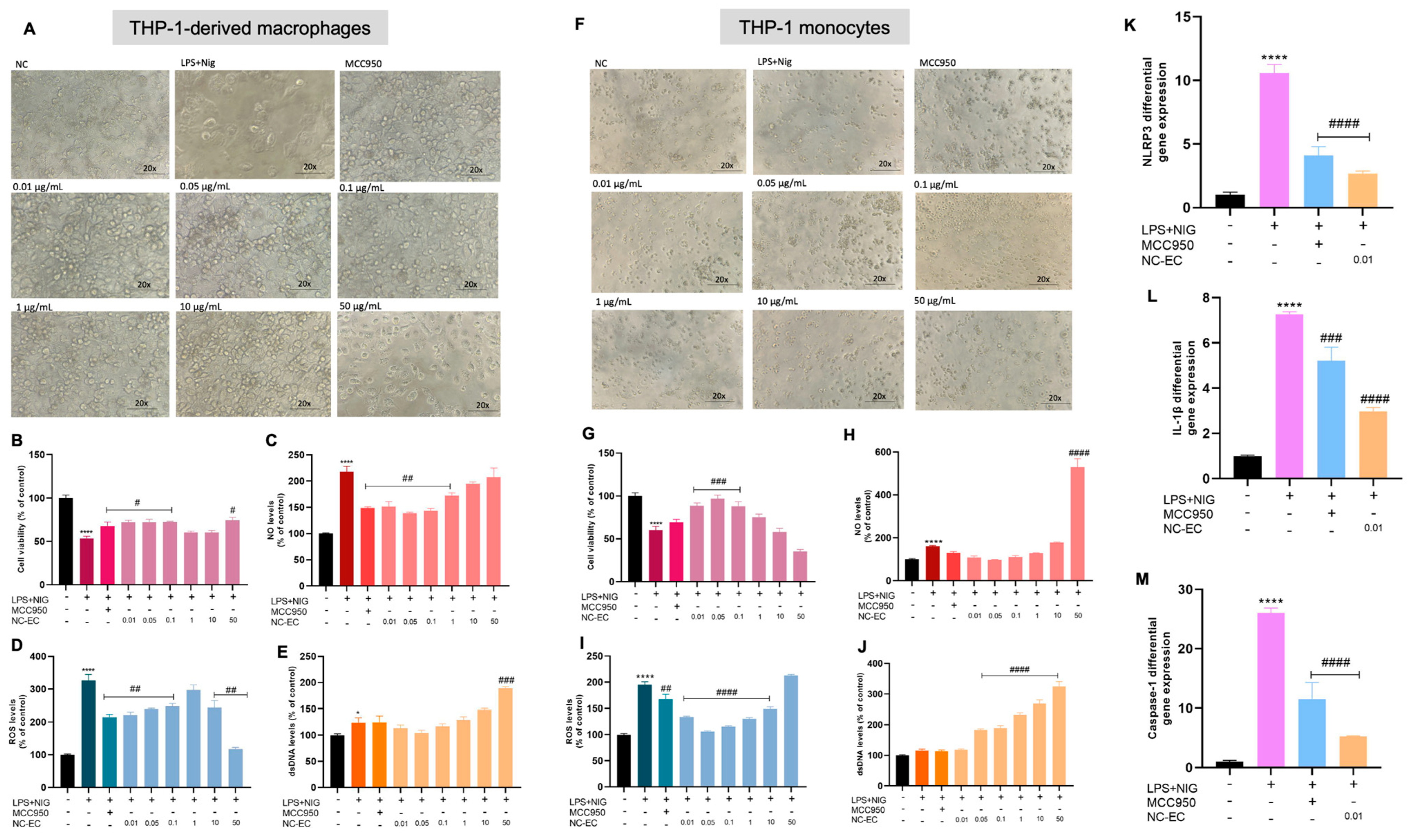 Biology 14 01520 g006 Biology 14 01520 g006