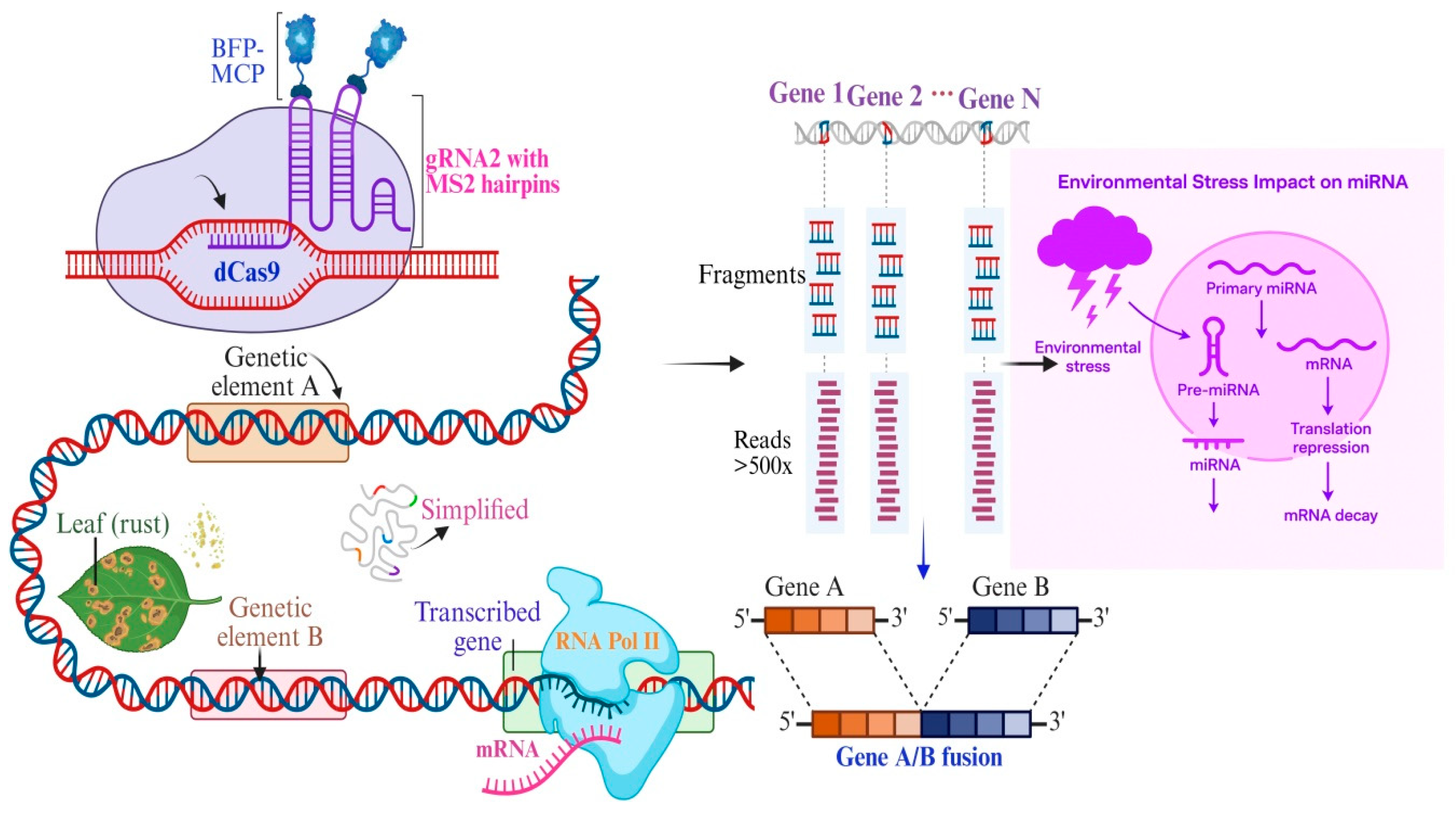Biology 14 01522 g001 Biology 14 01522 g001
