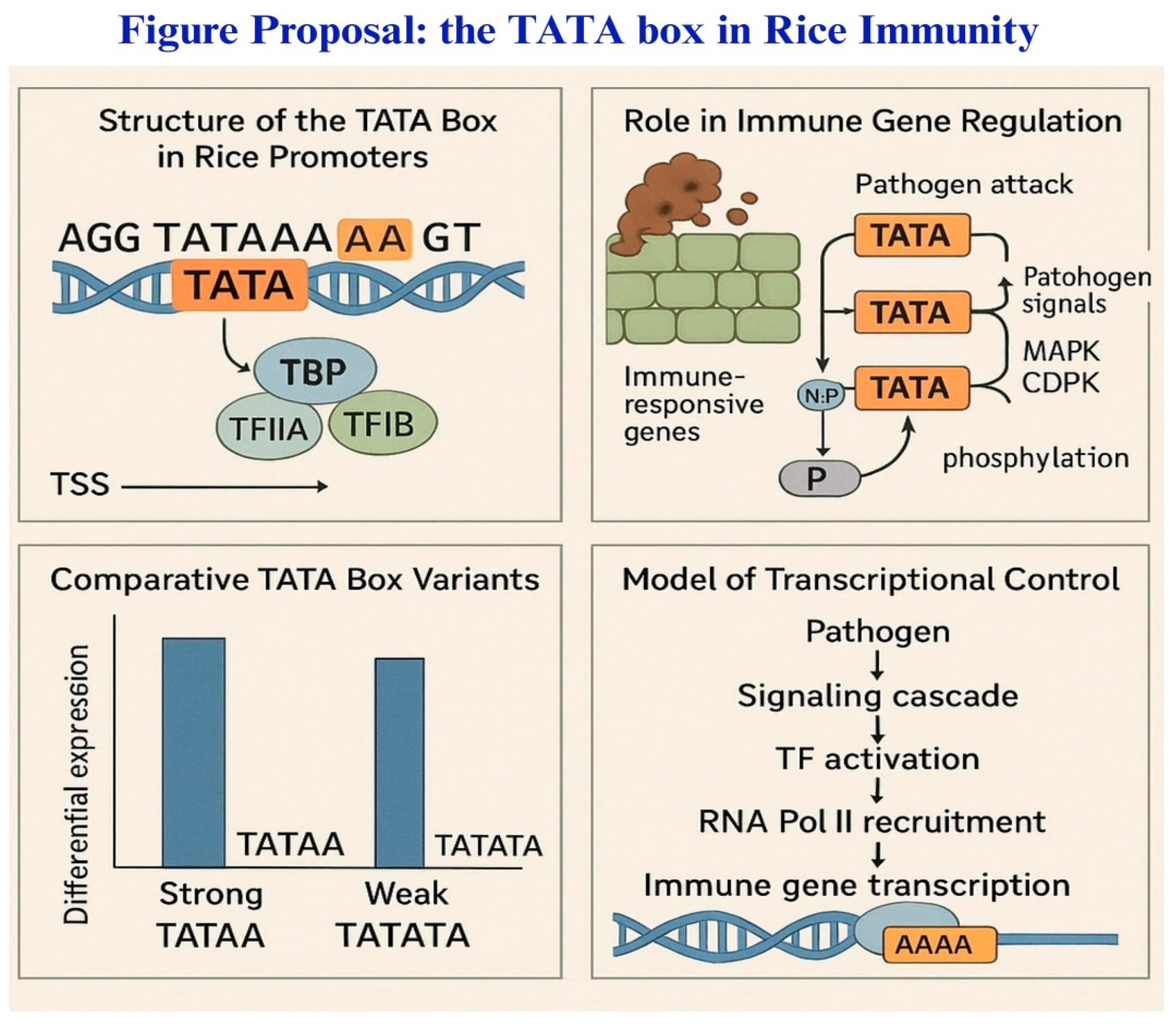 Biology 14 01522 g003 Biology 14 01522 g003