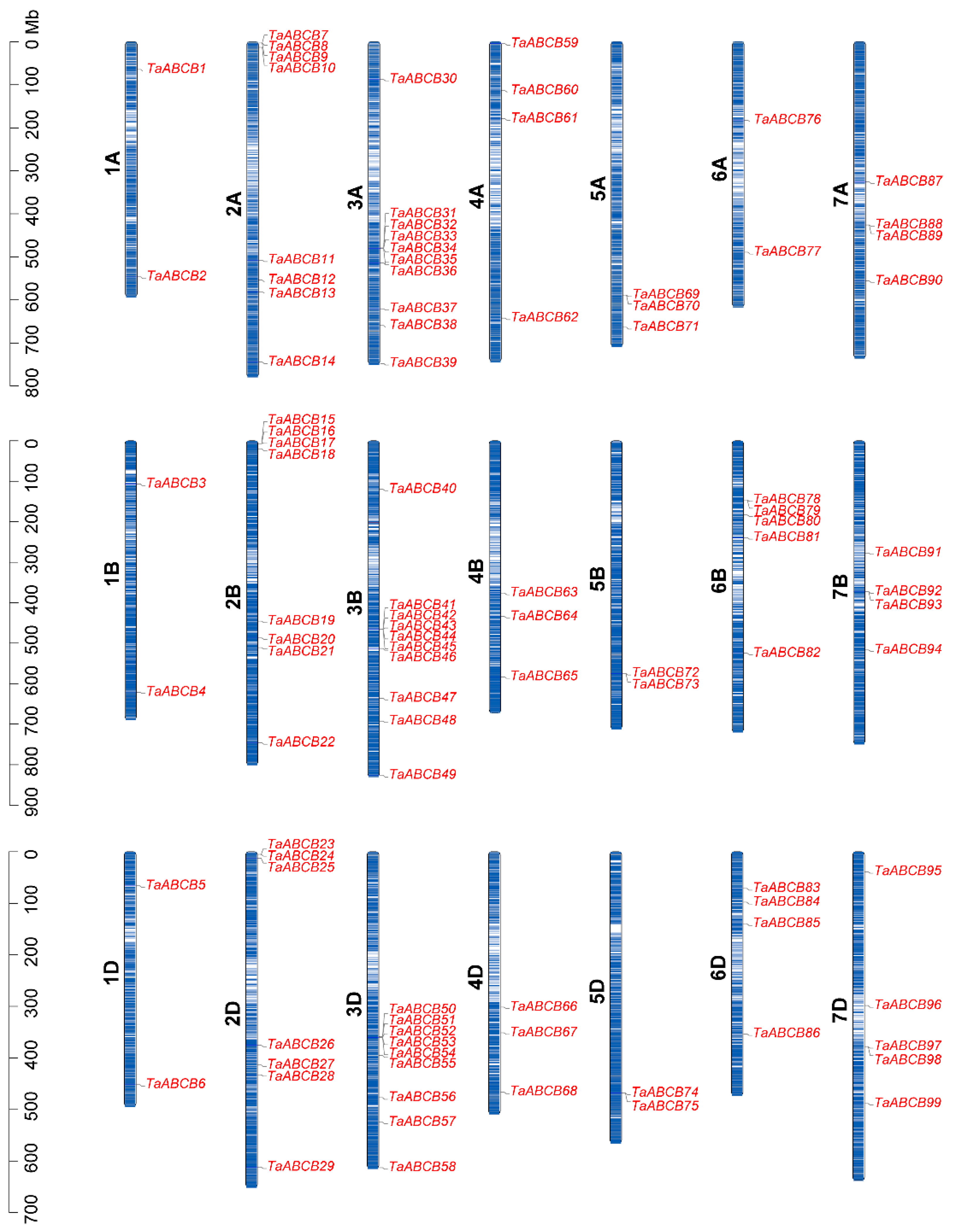 Biology 14 01525 g004 Biology 14 01525 g004