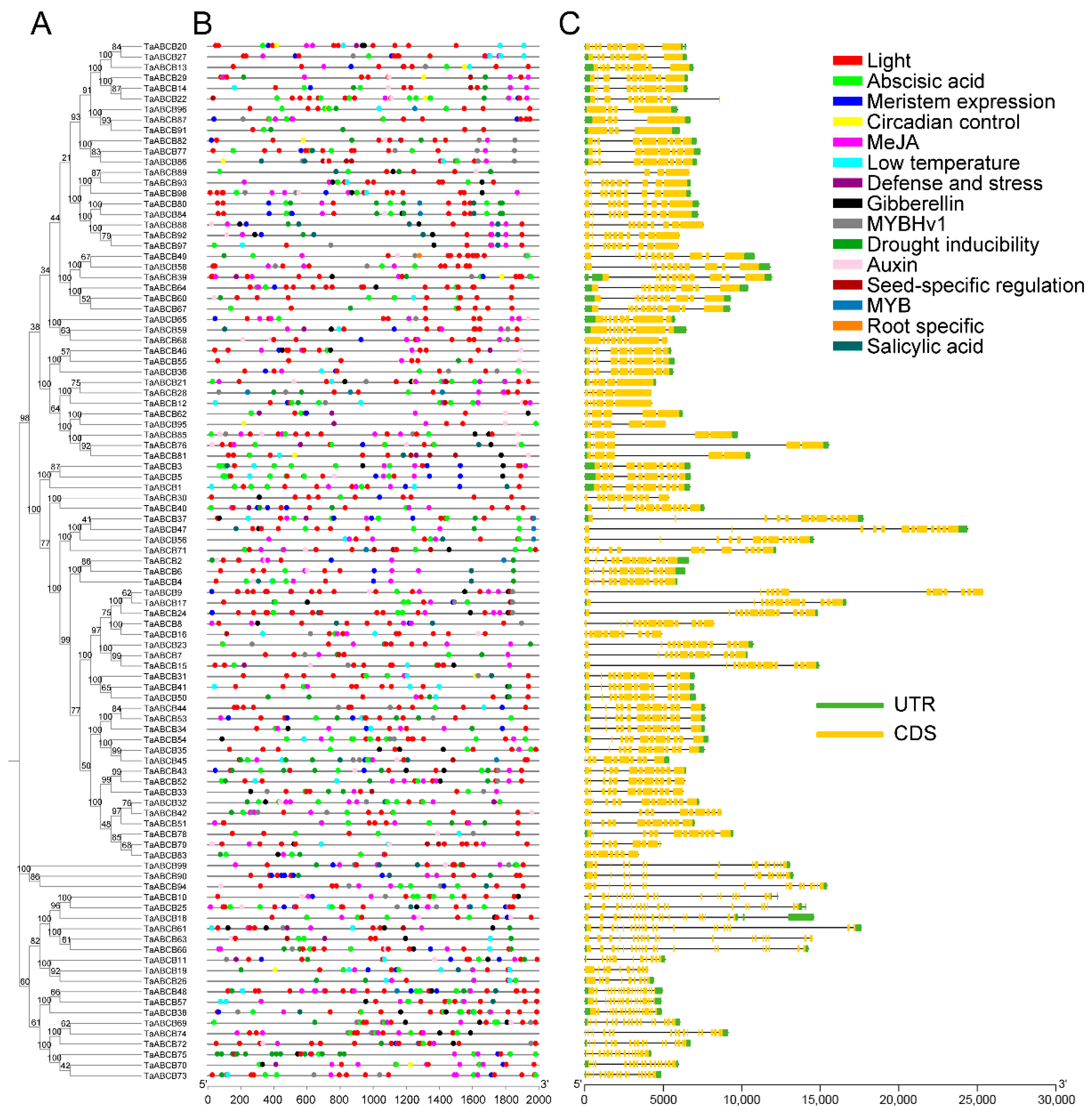 Biology 14 01525 g007 Biology 14 01525 g007
