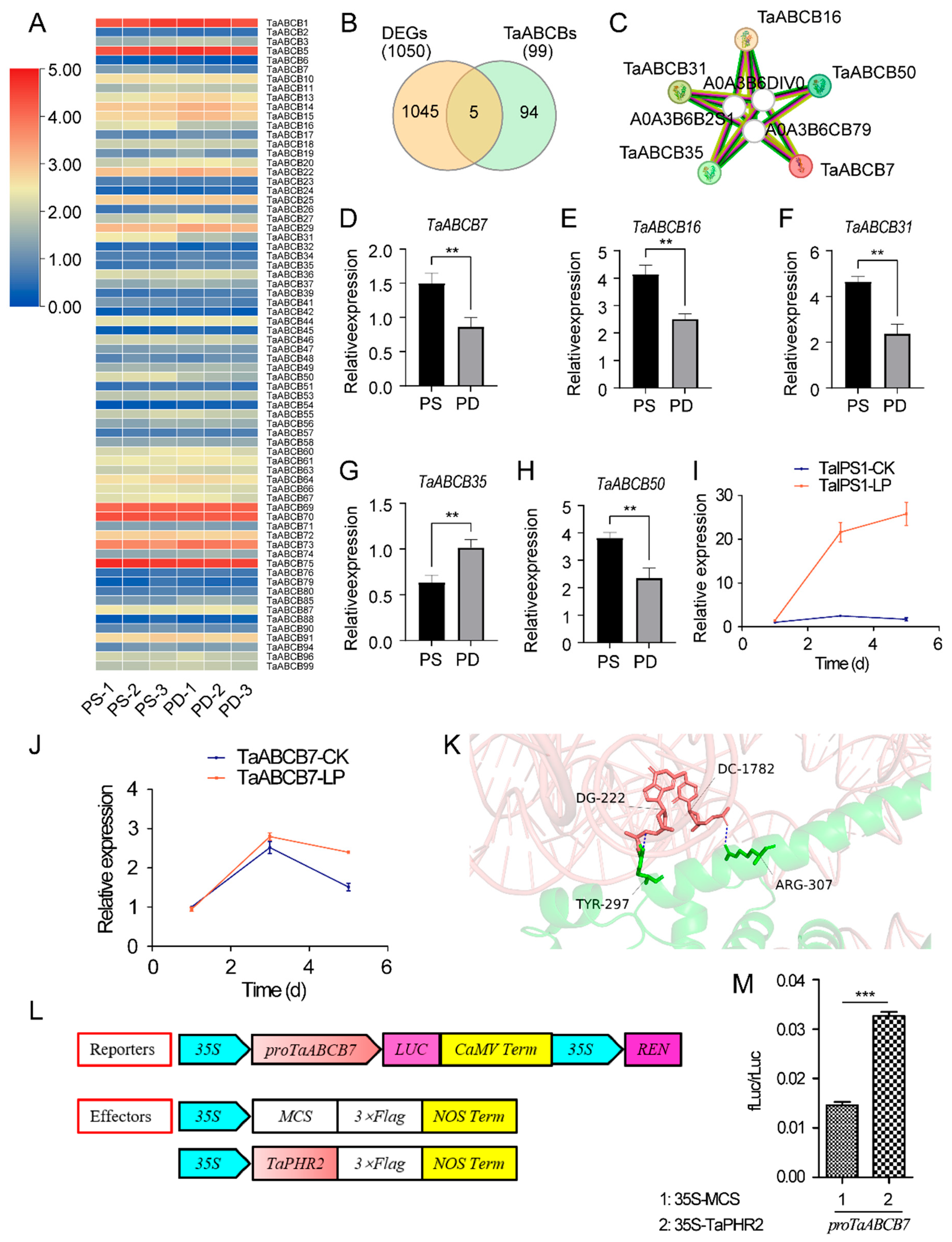 Biology 14 01525 g009 Biology 14 01525 g009