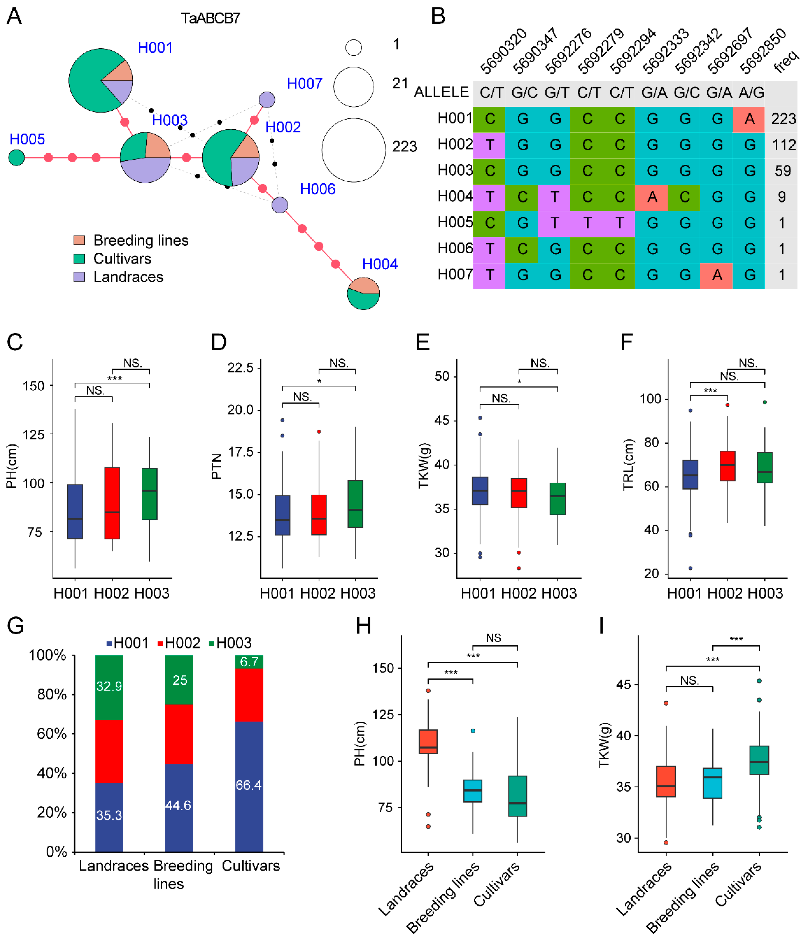Biology 14 01525 g010 Biology 14 01525 g010